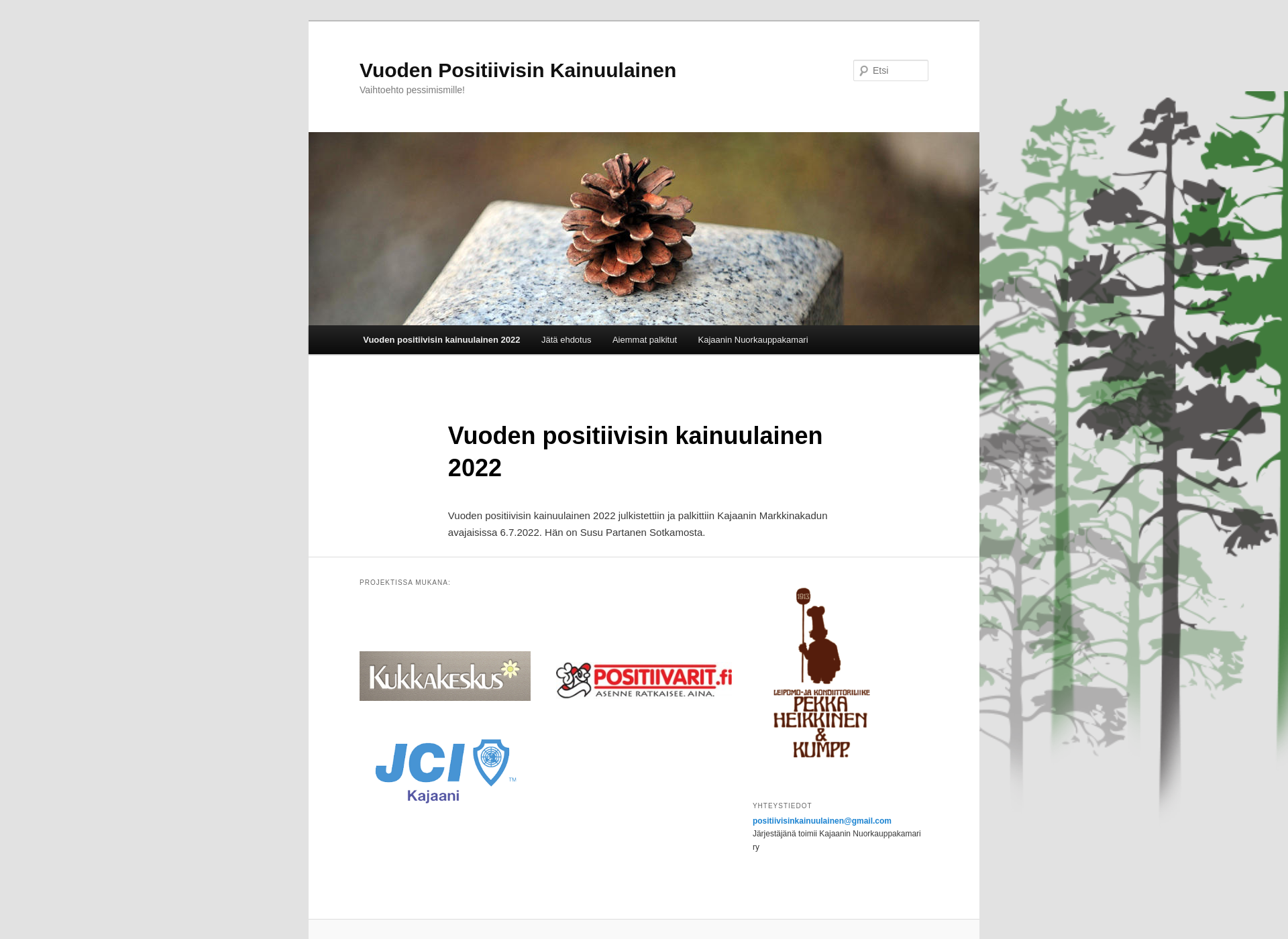 Skärmdump för positiivisinkainuulainen.fi