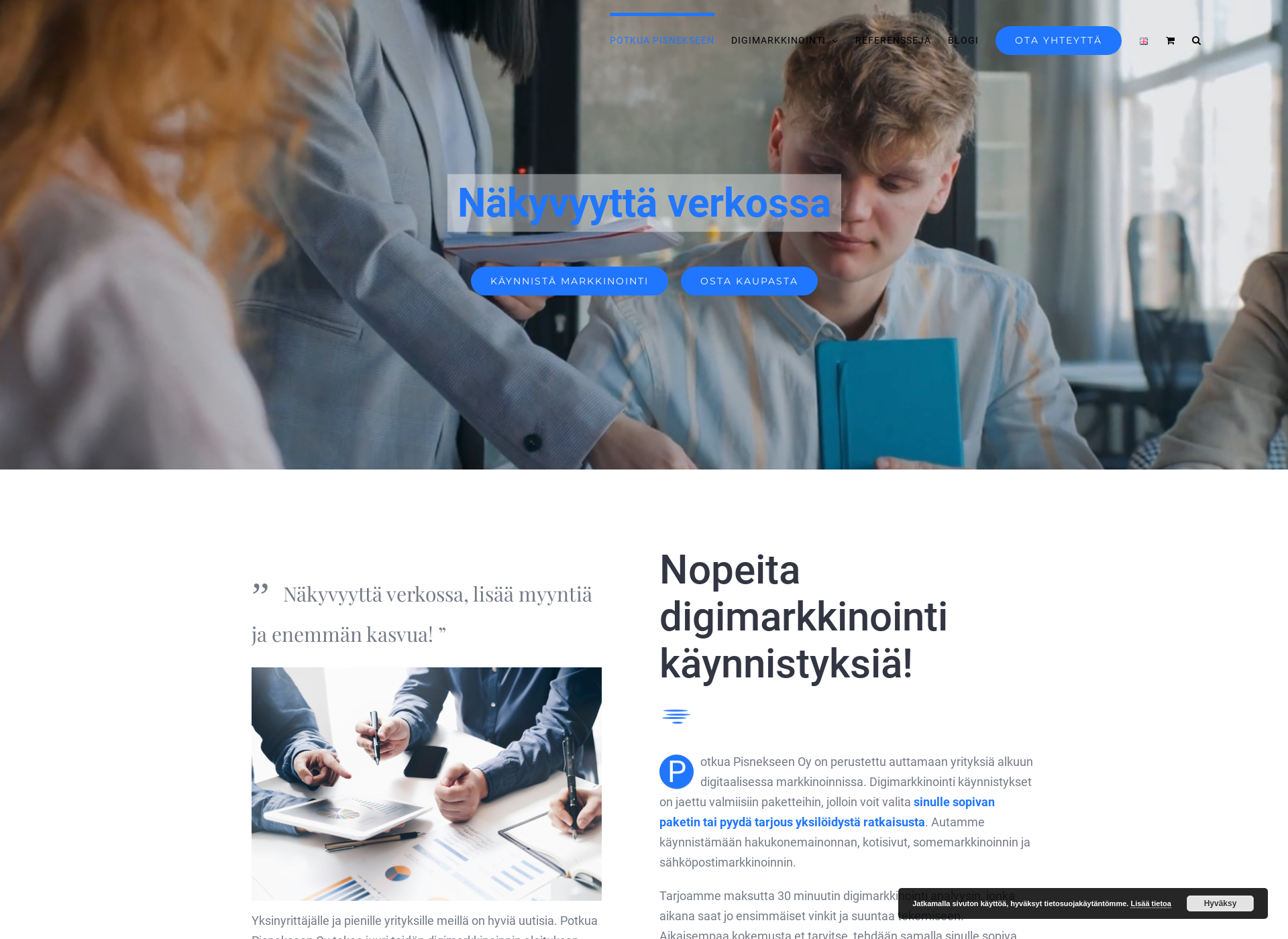 Screenshot for potkuapisnekseen.fi