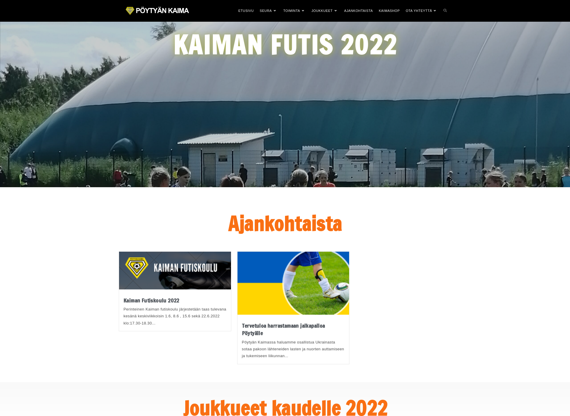 Screenshot for poytyankaima.fi