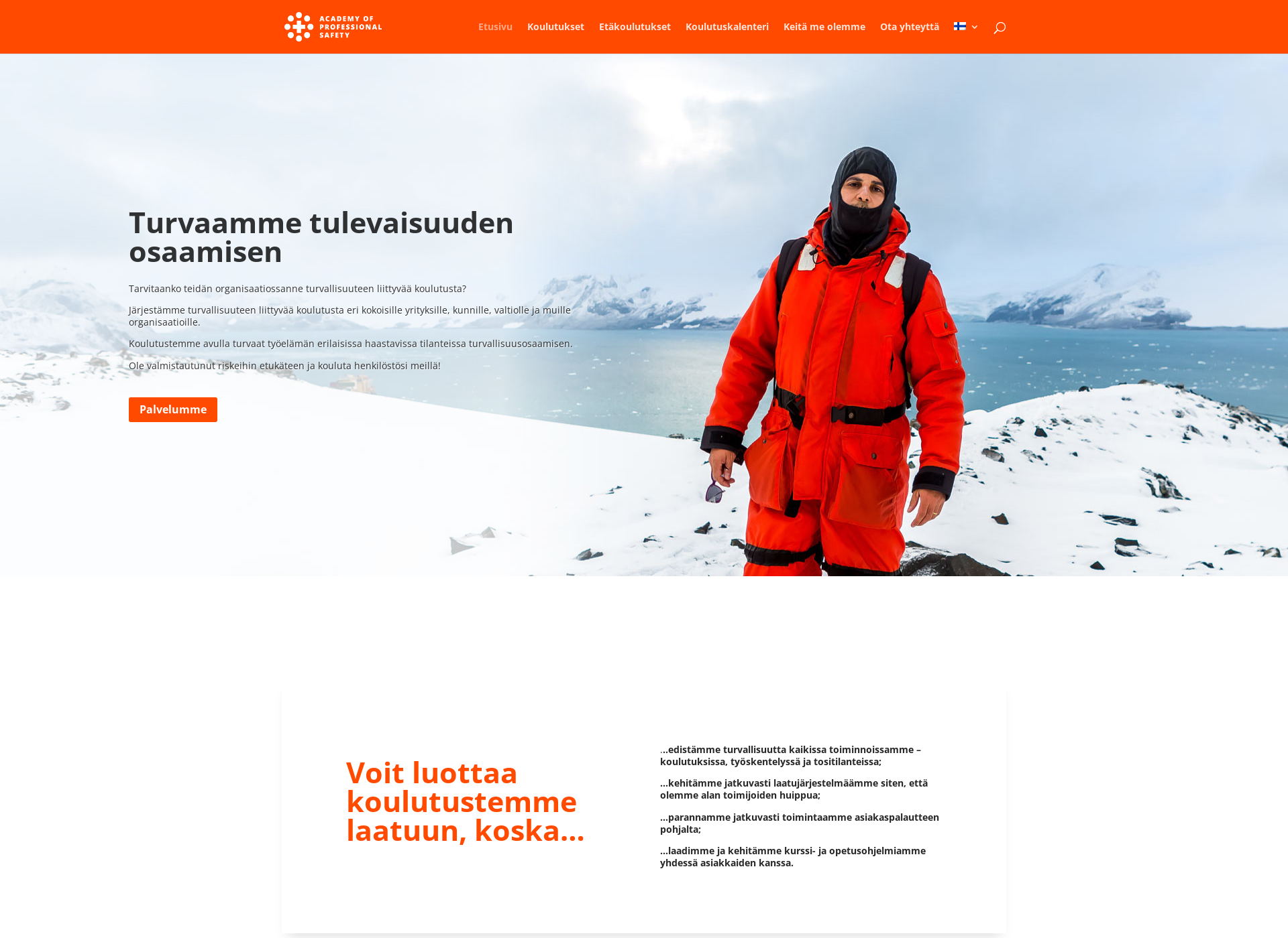 Screenshot for professionalsafety.fi