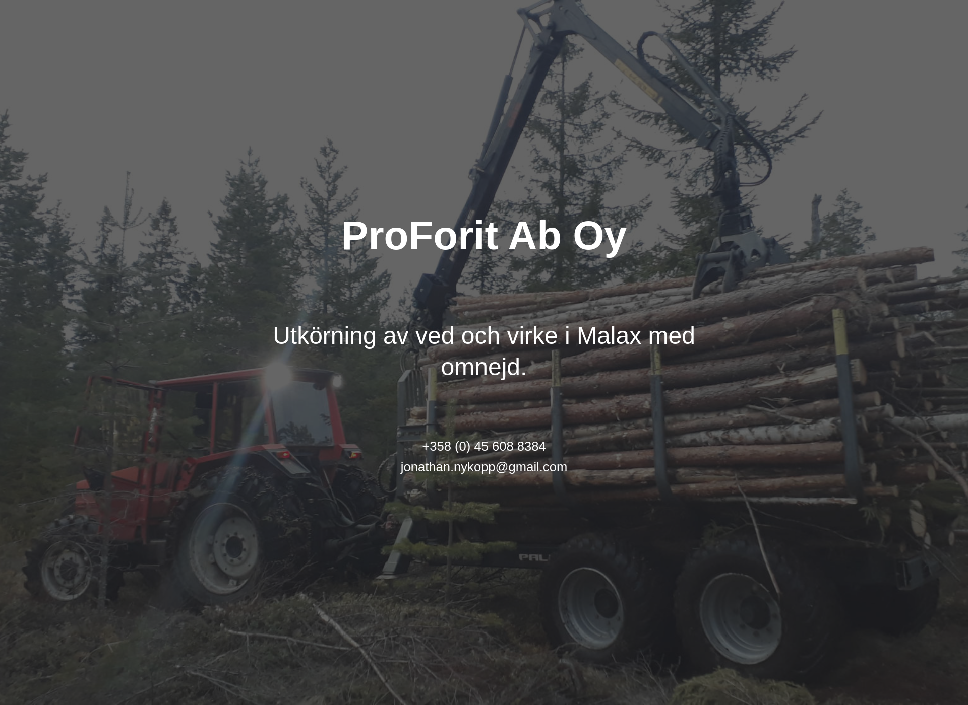 Screenshot for proforit.fi