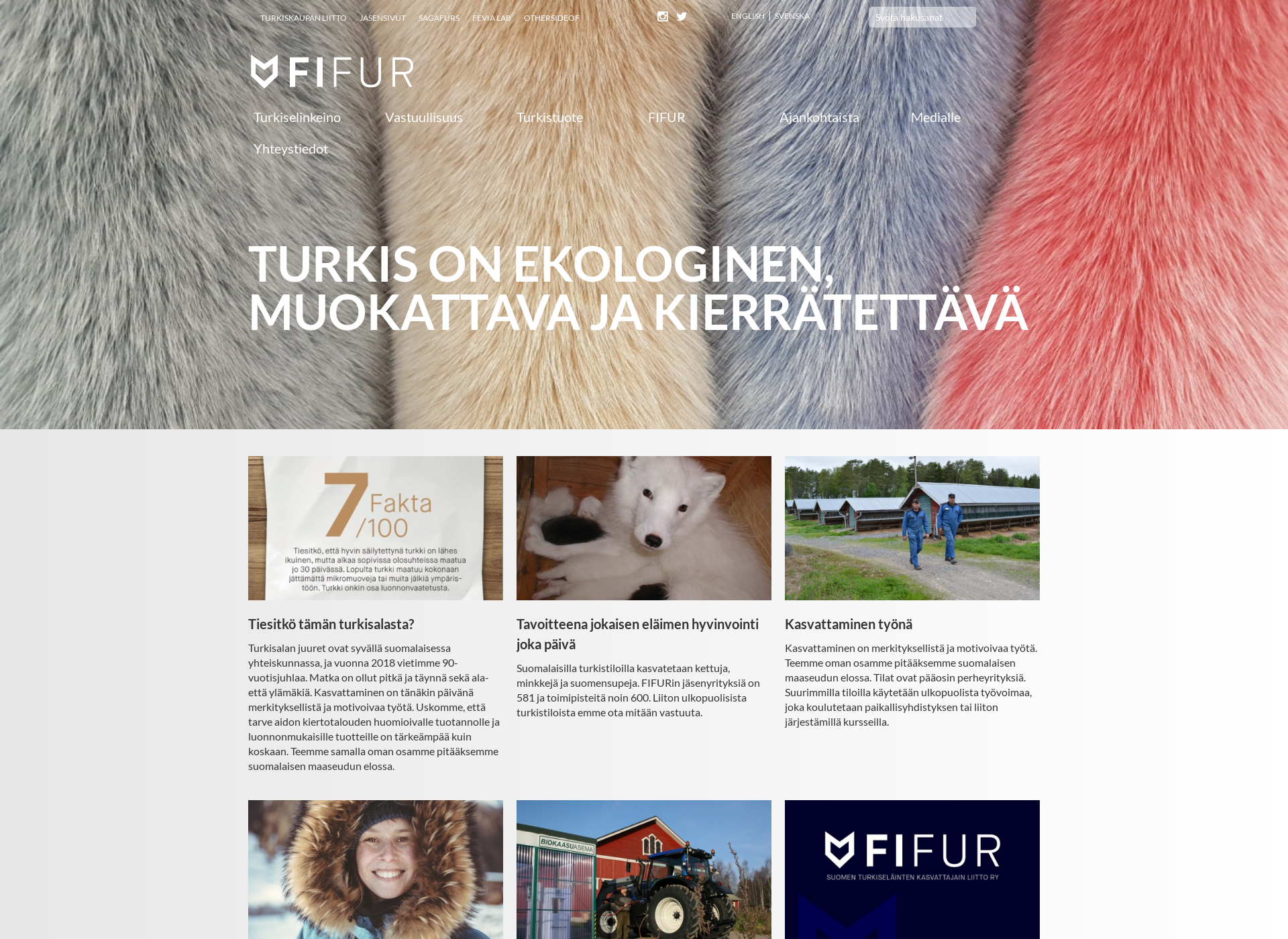 Screenshot for profur.fi