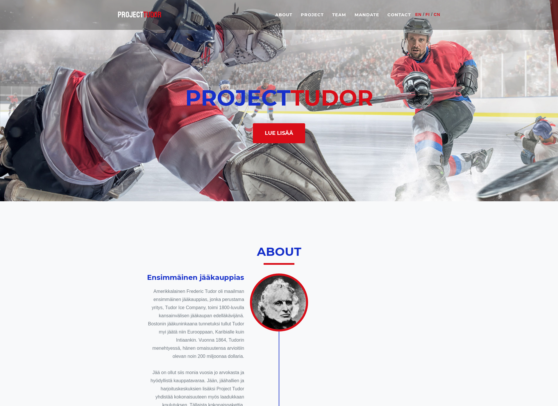 Screenshot for projecttudor.fi