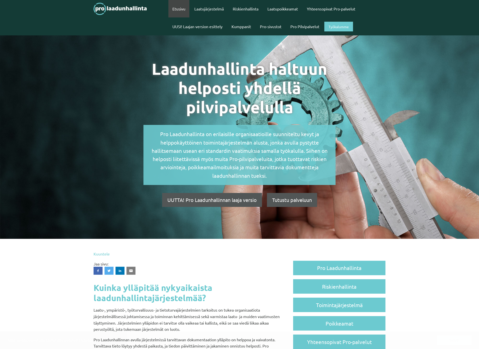 Screenshot for prolaadunhallinta.fi