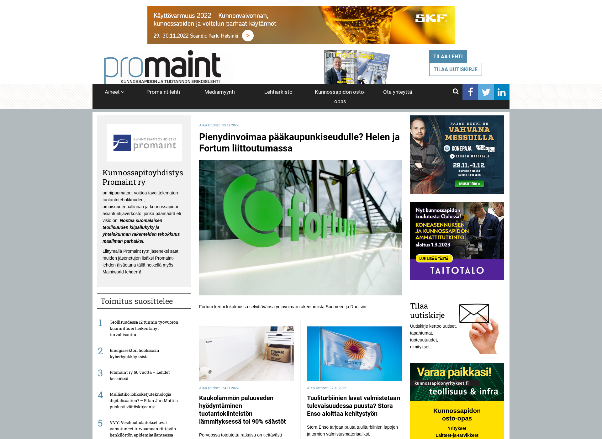 Screenshot for promaintlehti.fi