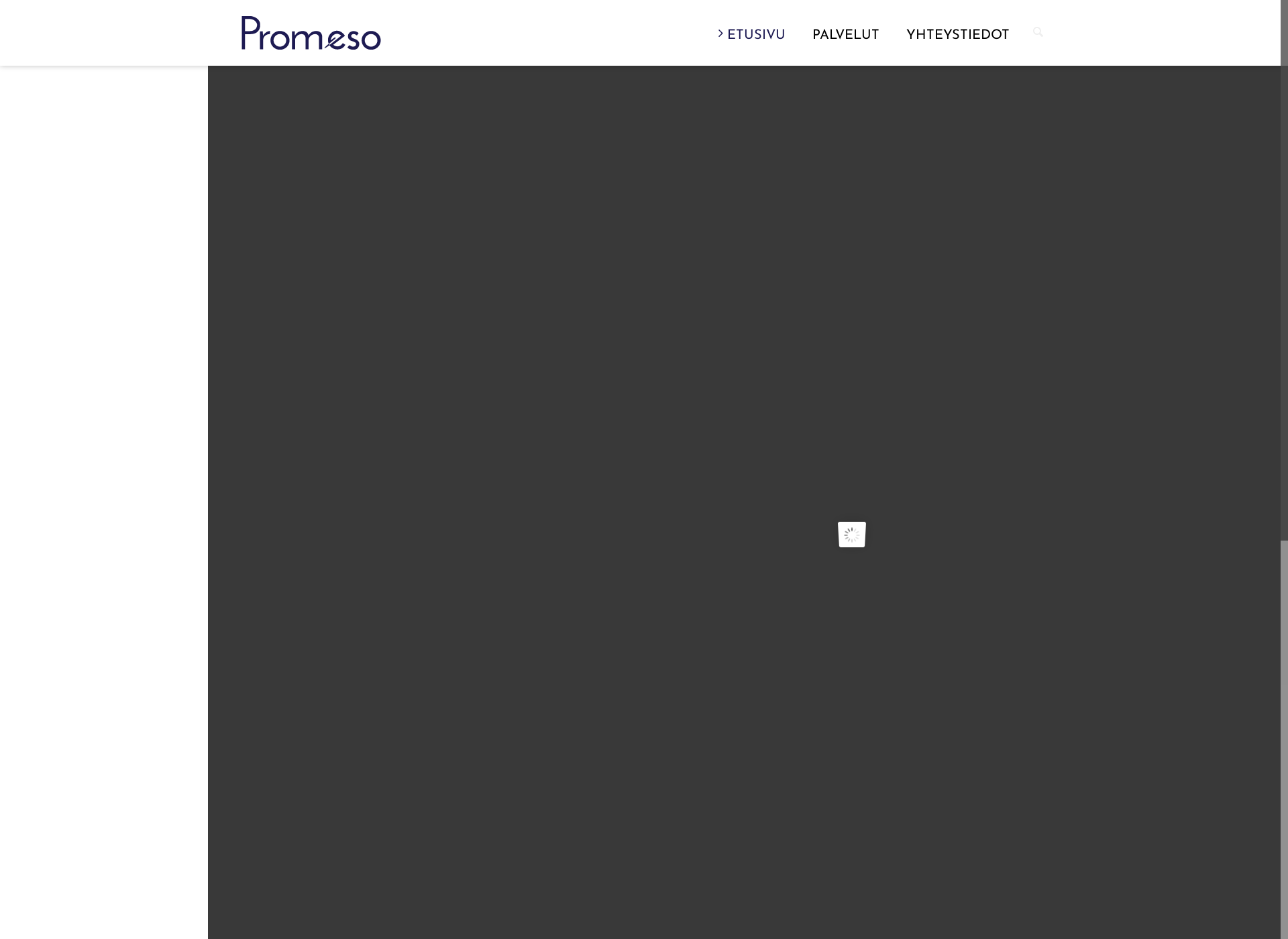 Screenshot for promeso.fi