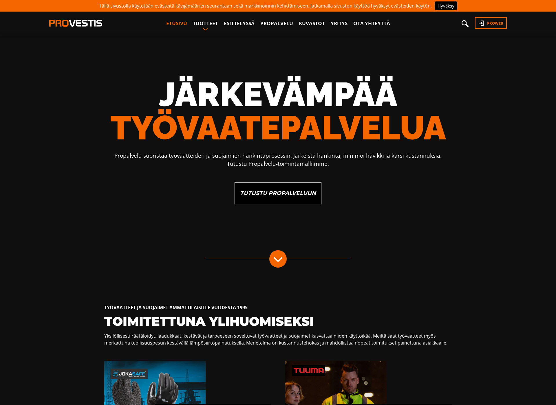 Näyttökuva provestisyrityspalvelut.fi