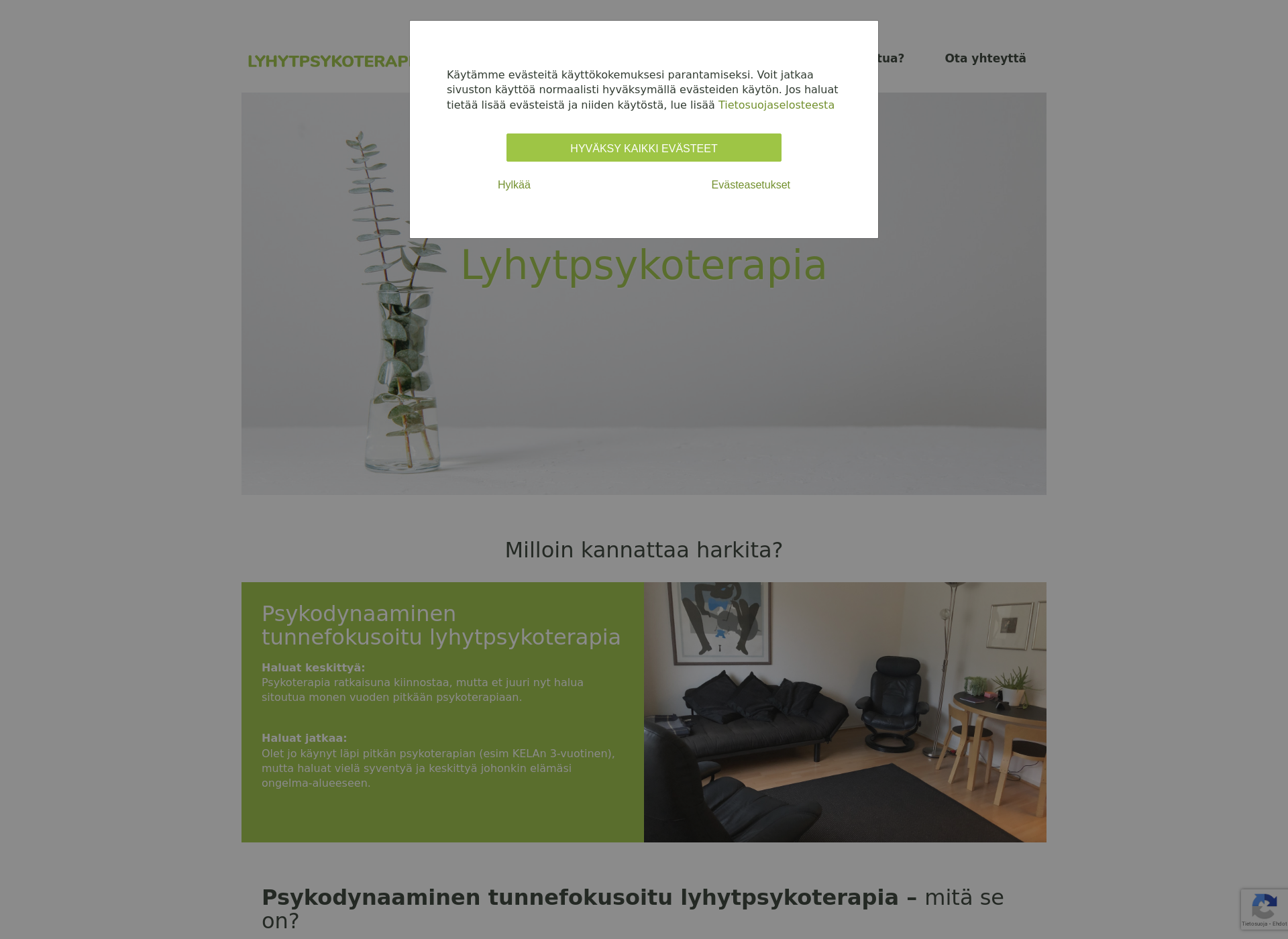 Skärmdump för psykoanalyysi.fi