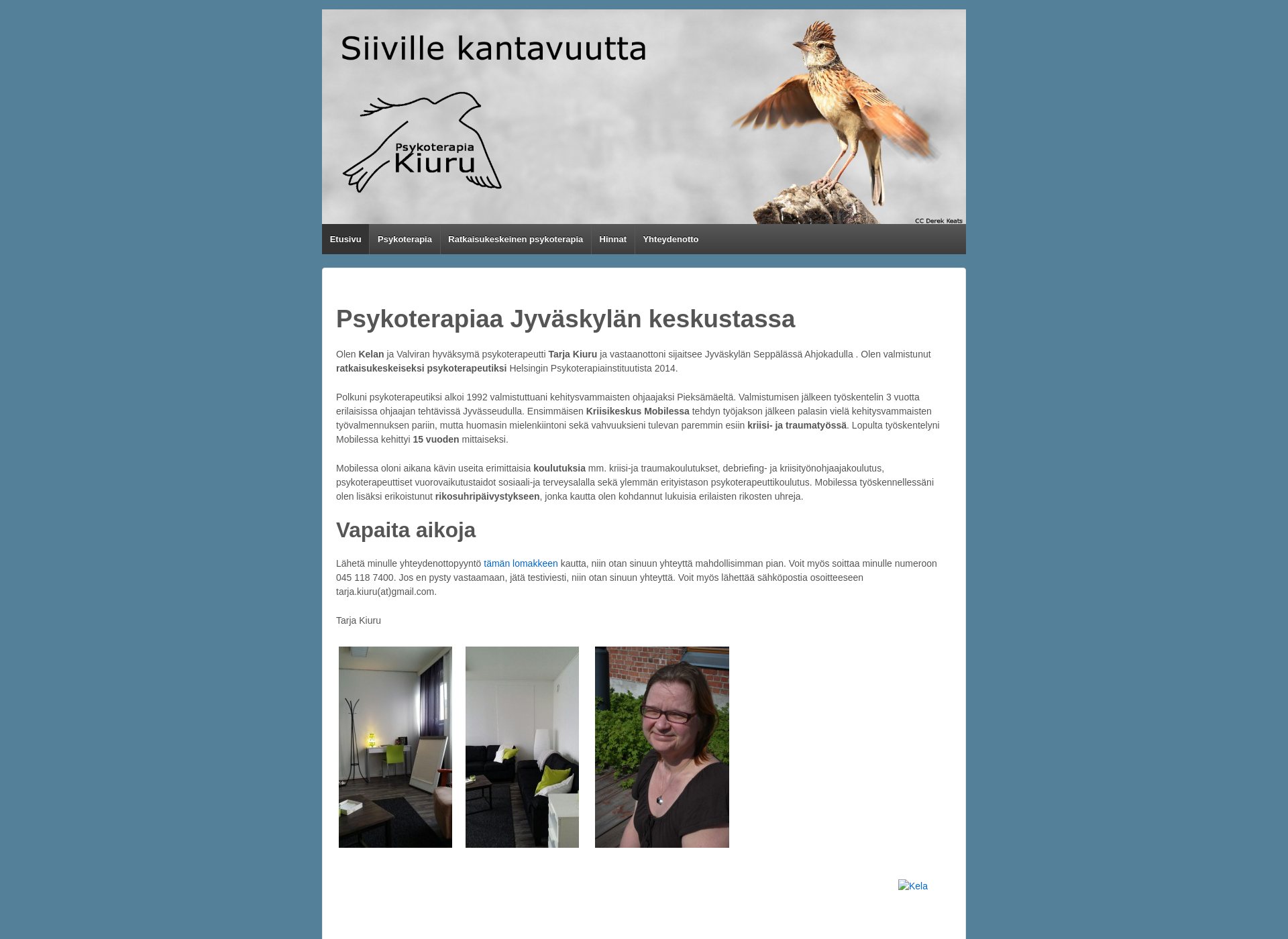 Skärmdump för psykoterapiakiuru.fi