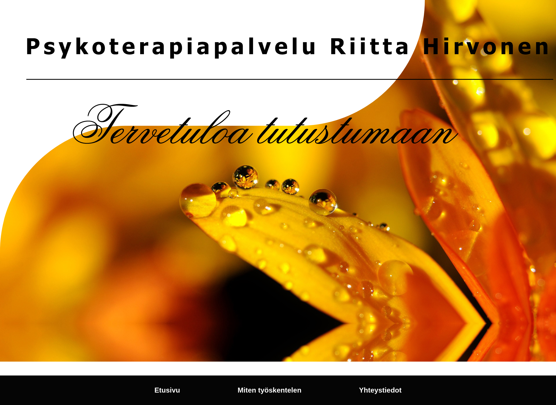 Skärmdump för psykoterapiariihi.fi