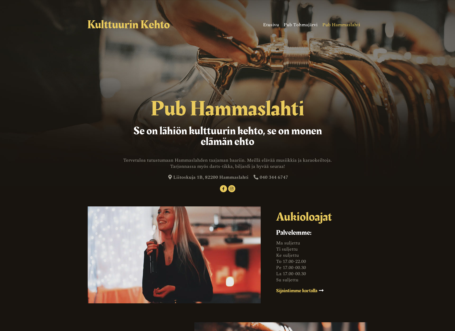Skärmdump för pubhammaslahti.fi