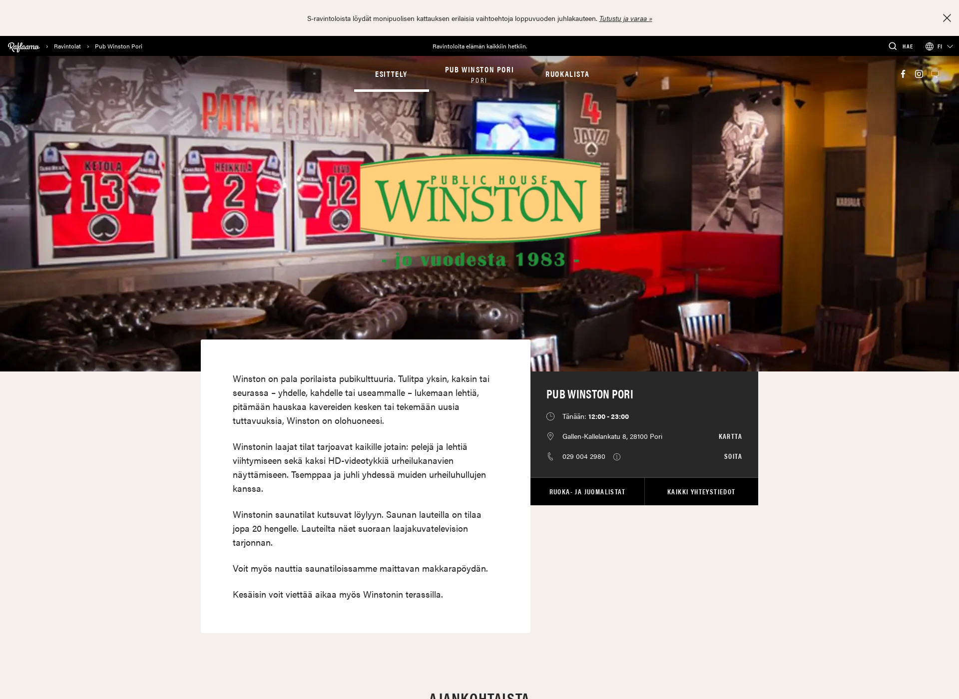 Screenshot for pubwinston.fi