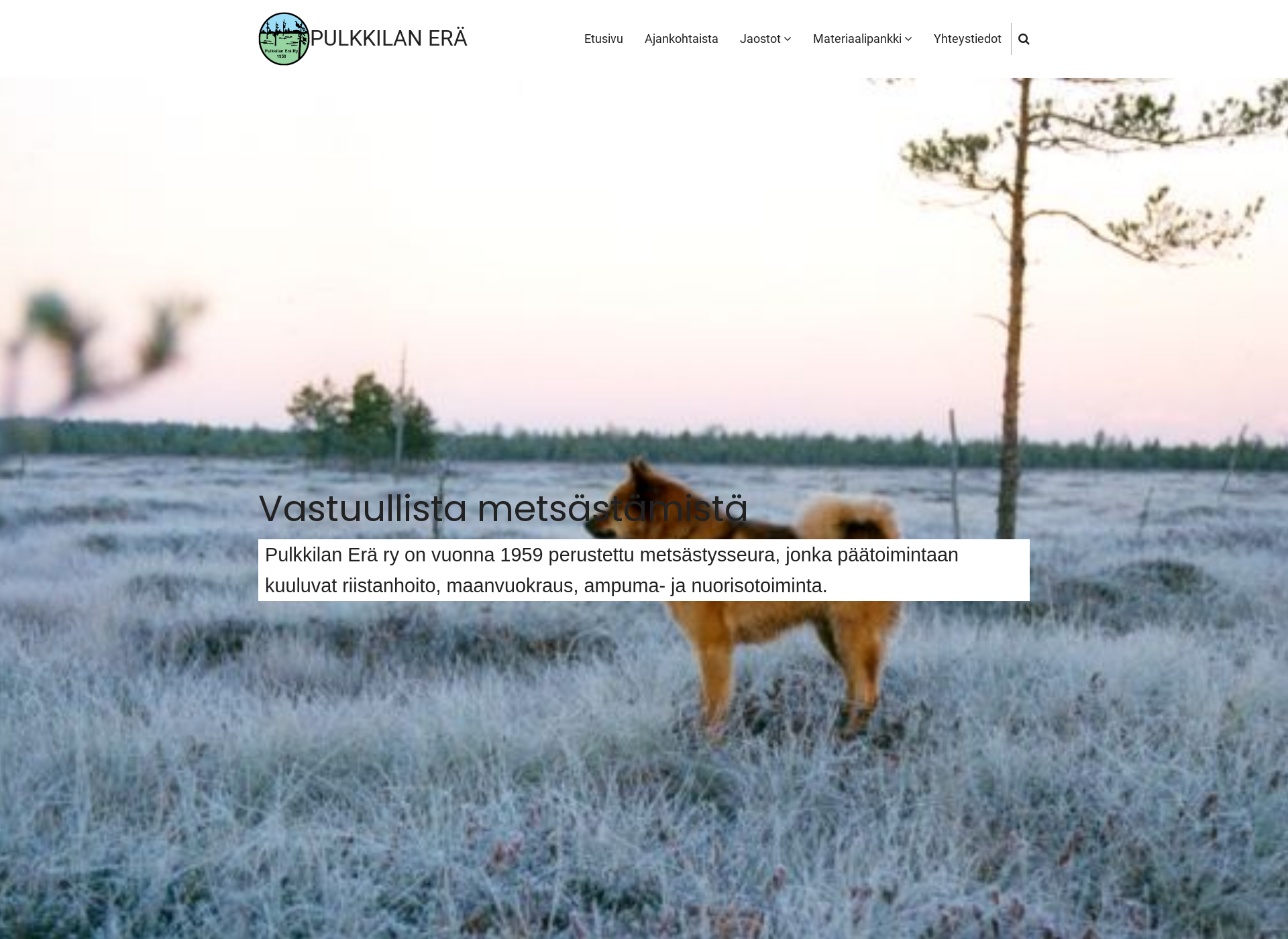Screenshot for pulkkilanera.fi