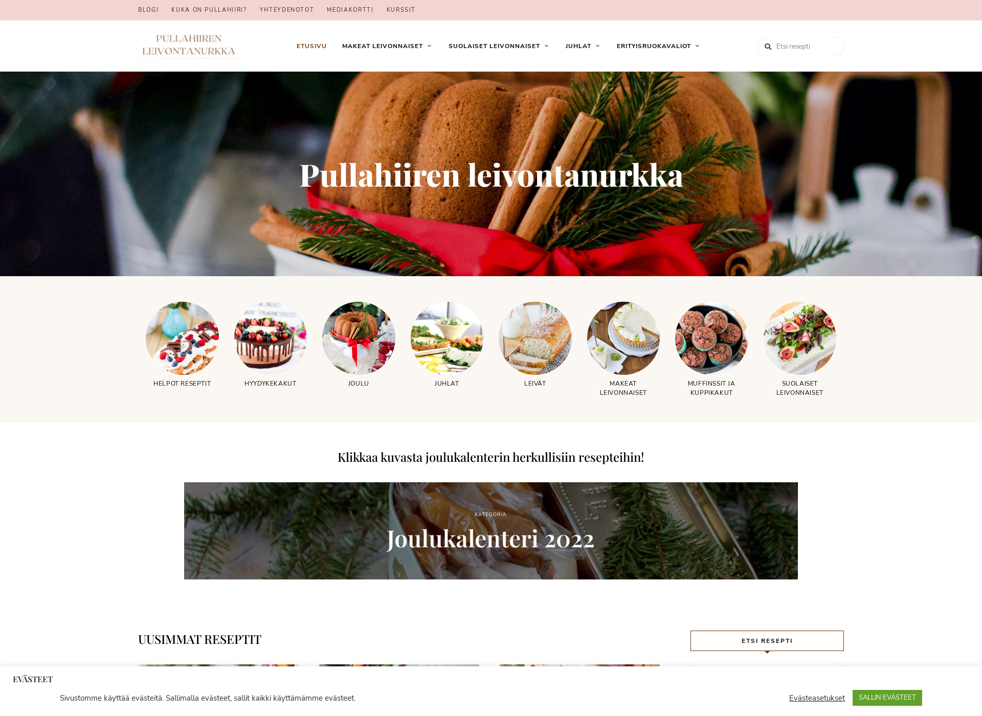 Screenshot for pullahiiri.fi