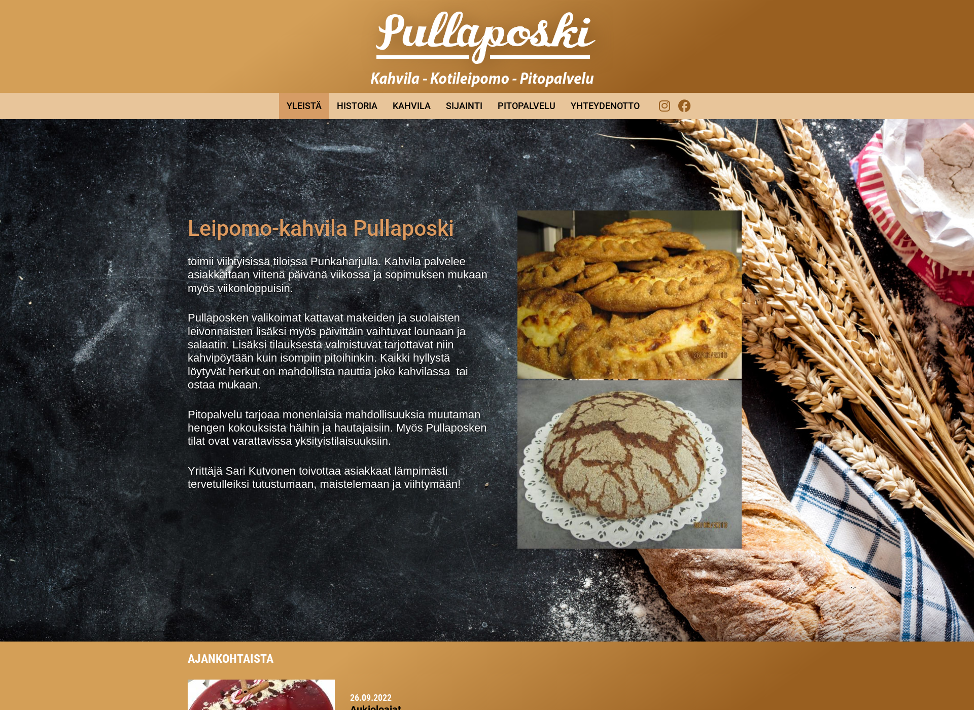 Screenshot for pullaposki.fi