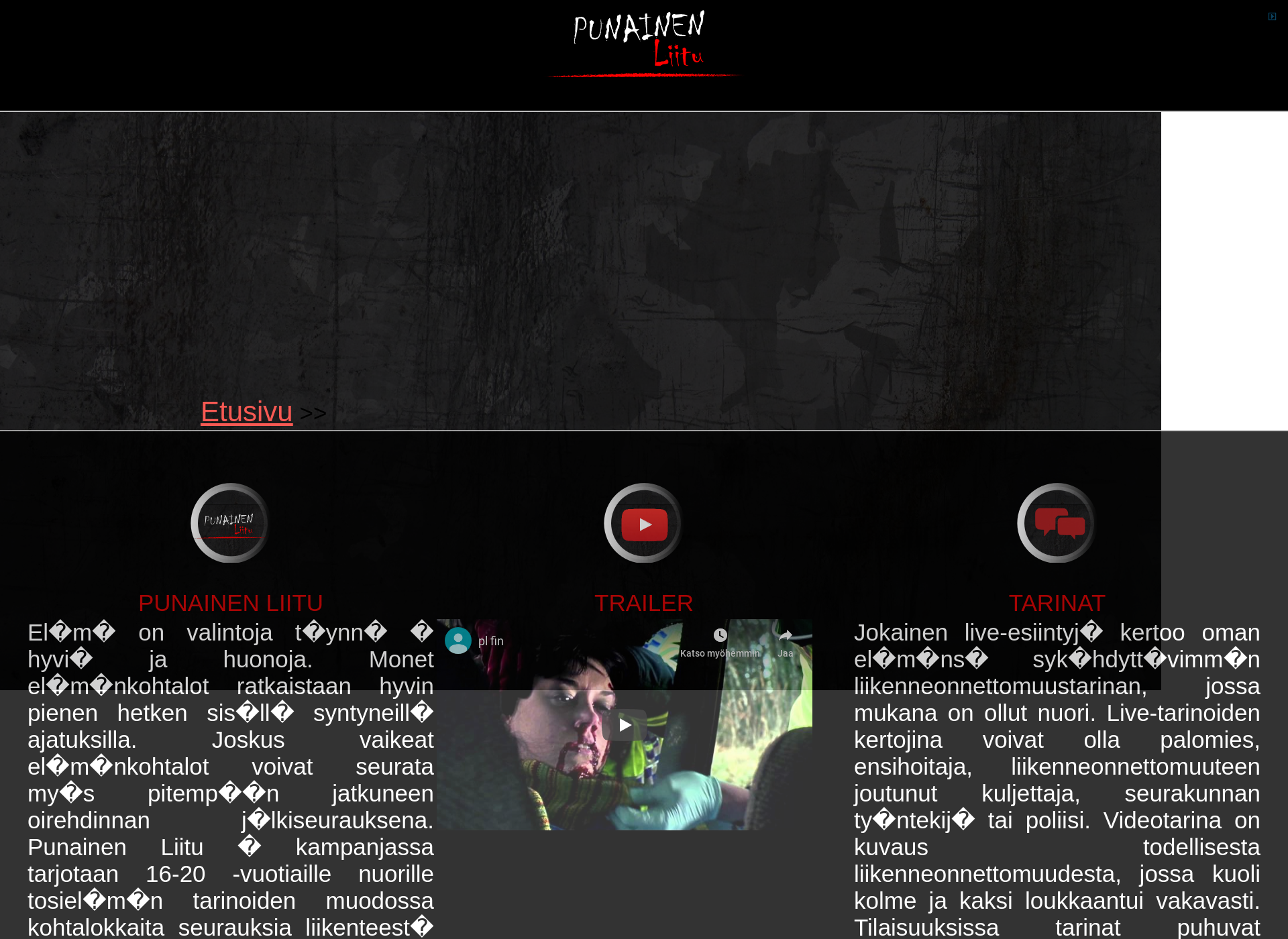 Screenshot for punainenliitu.fi