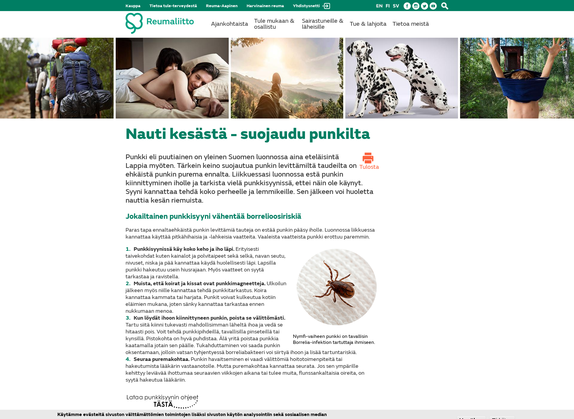 Screenshot for punkki.fi