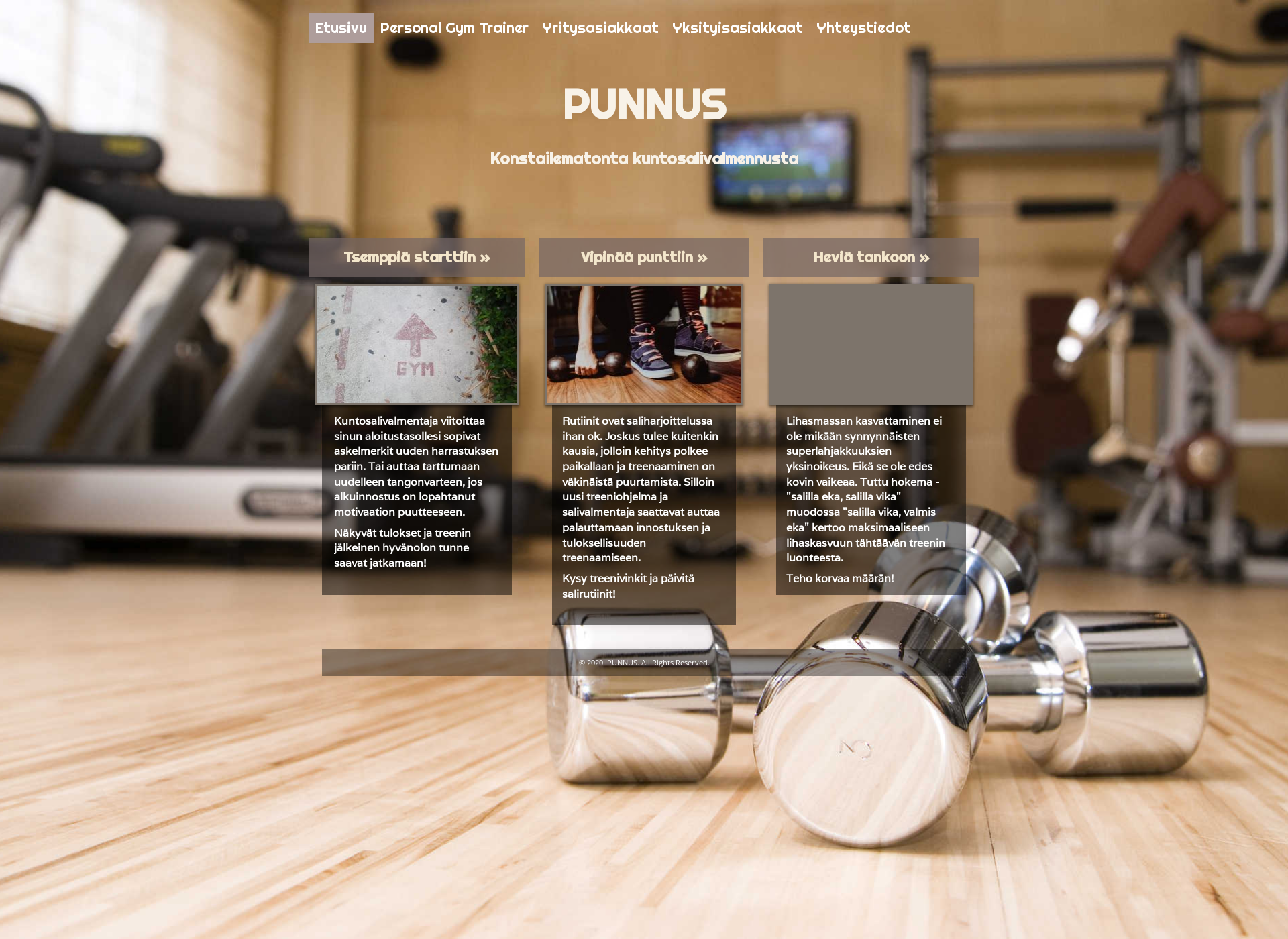 Screenshot for punnus.fi