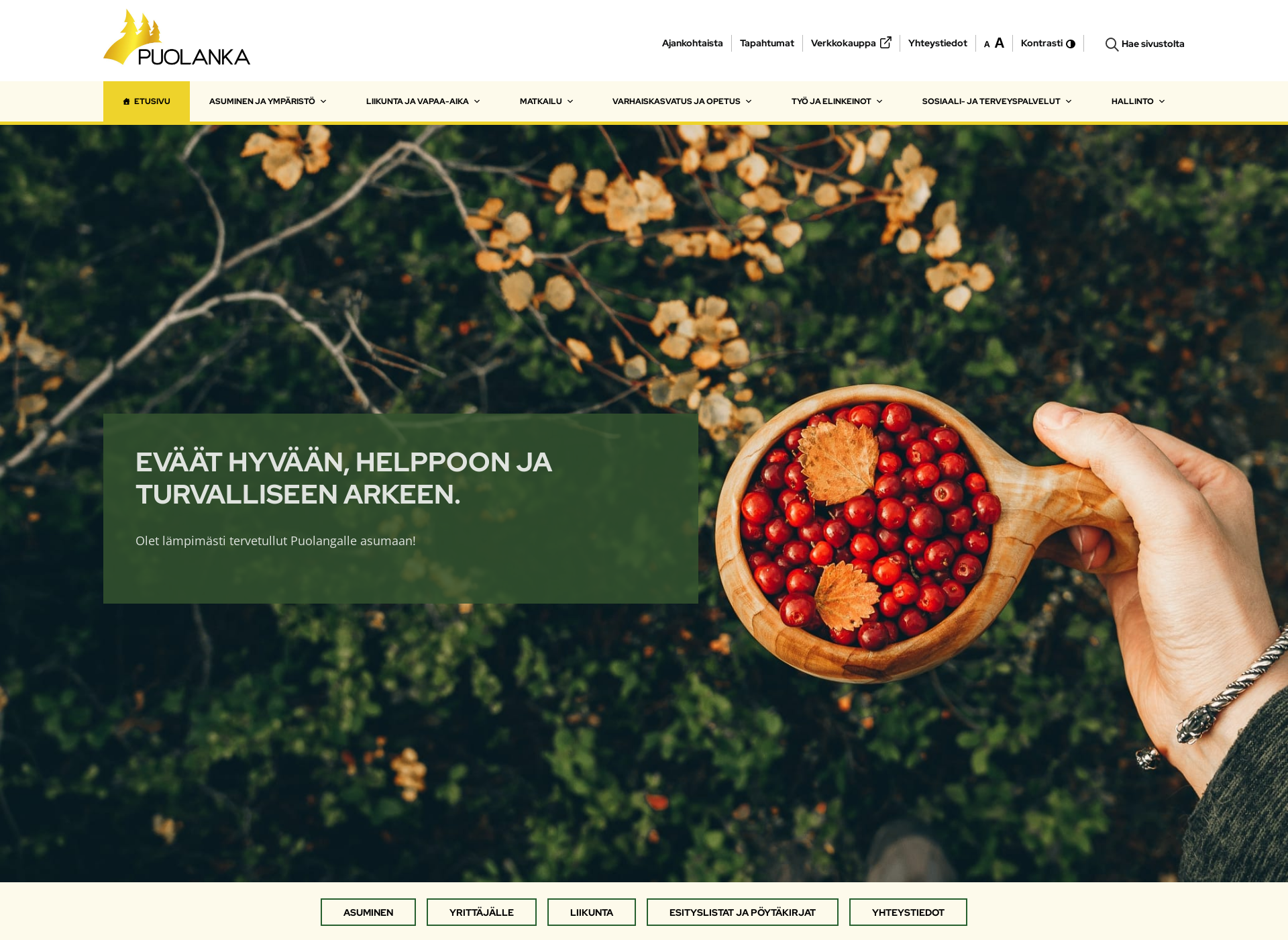 Screenshot for puolanka.fi