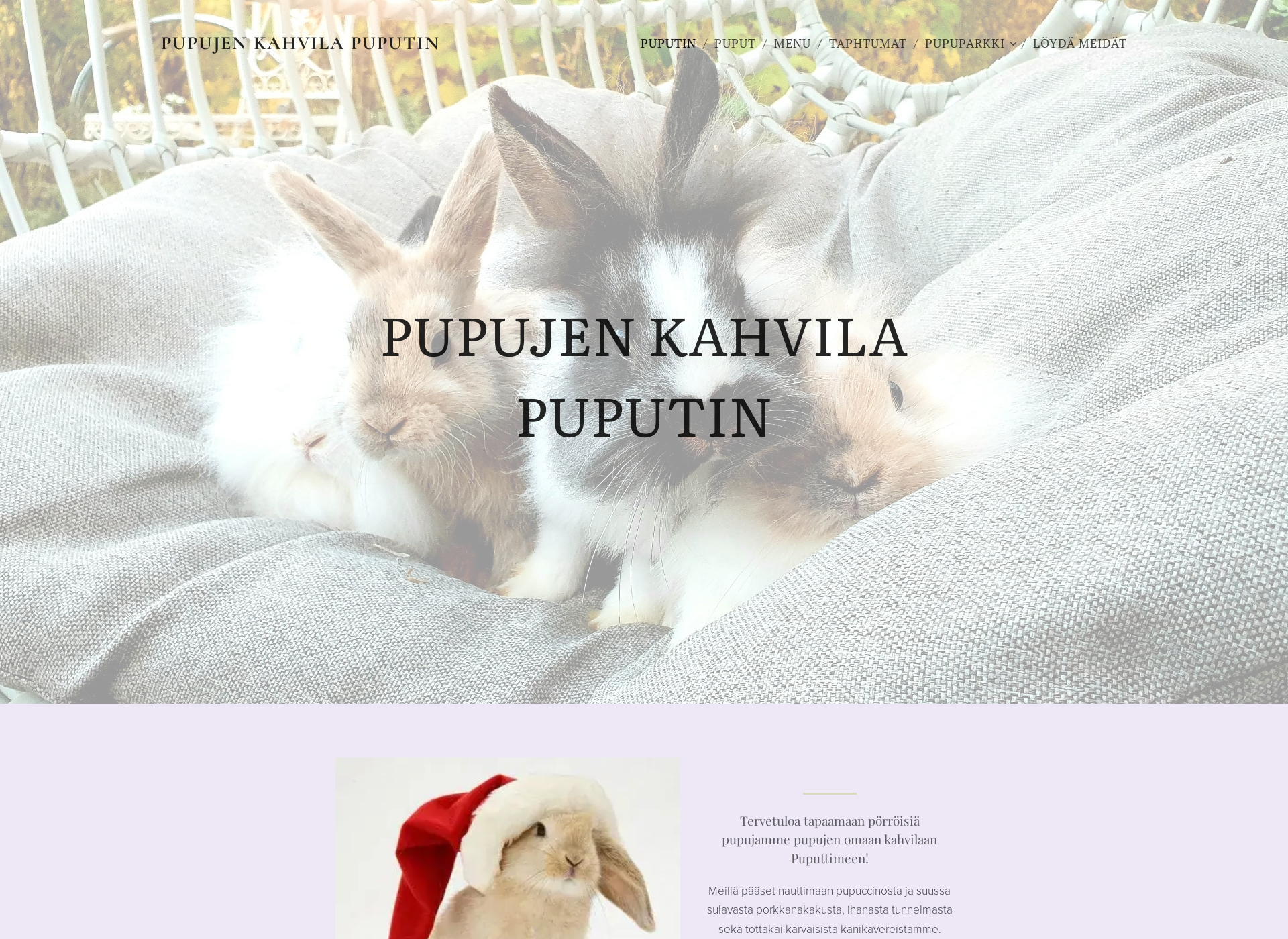 Skärmdump för puputin.fi