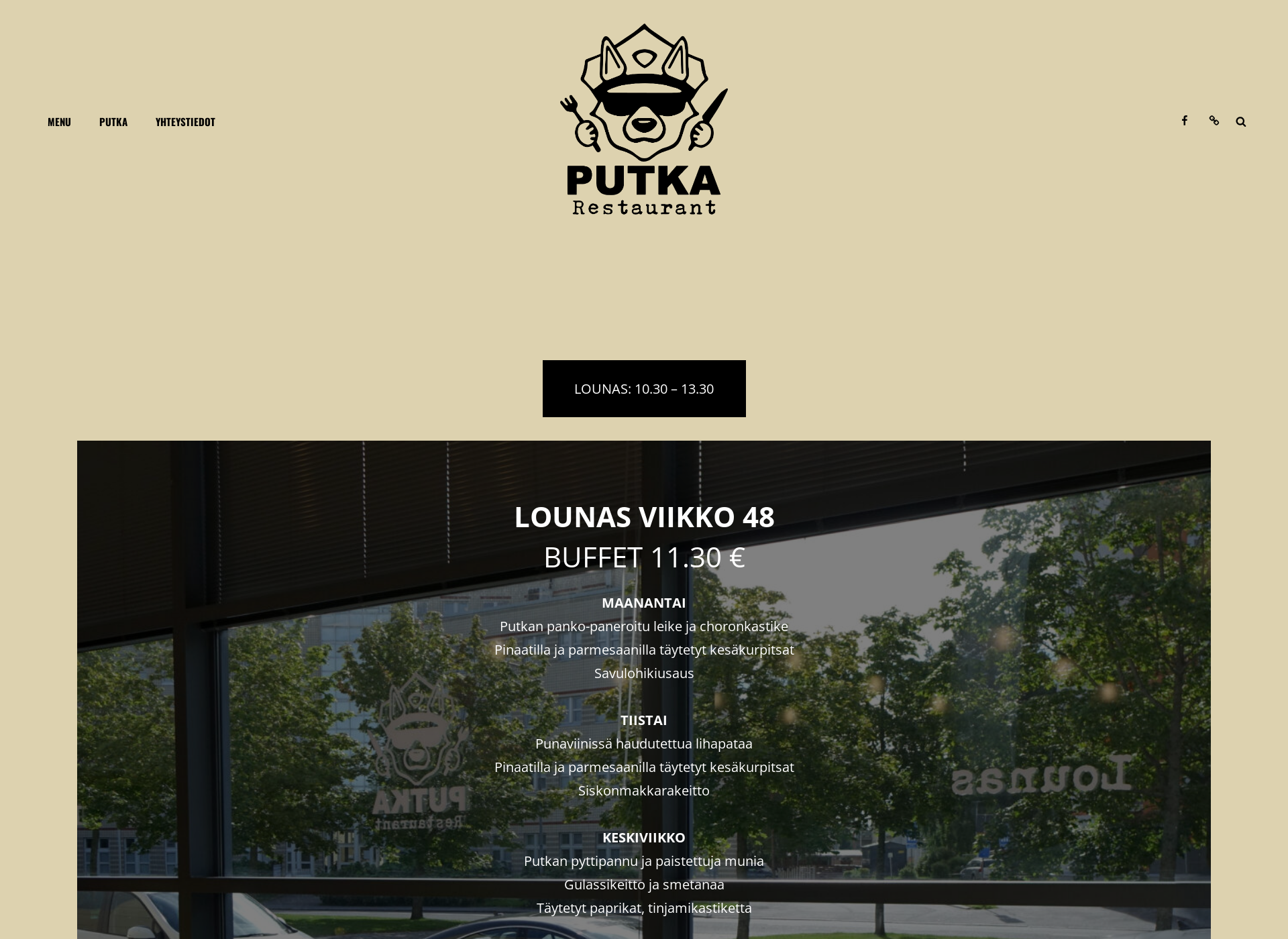 Screenshot for putkavaasa.fi