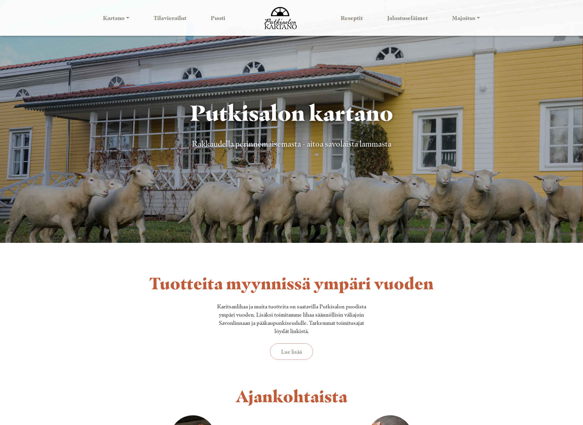 Skärmdump för putkisalo.fi