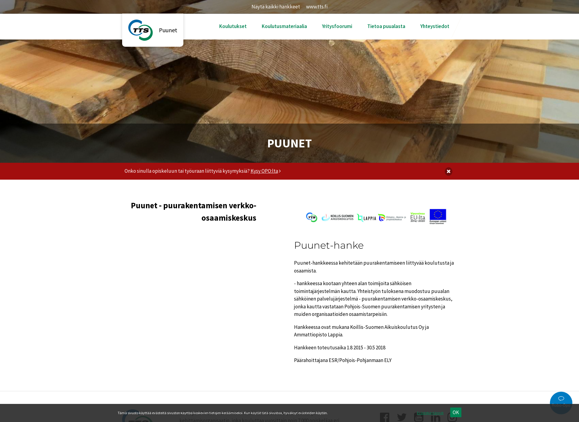 Screenshot for puunet.fi