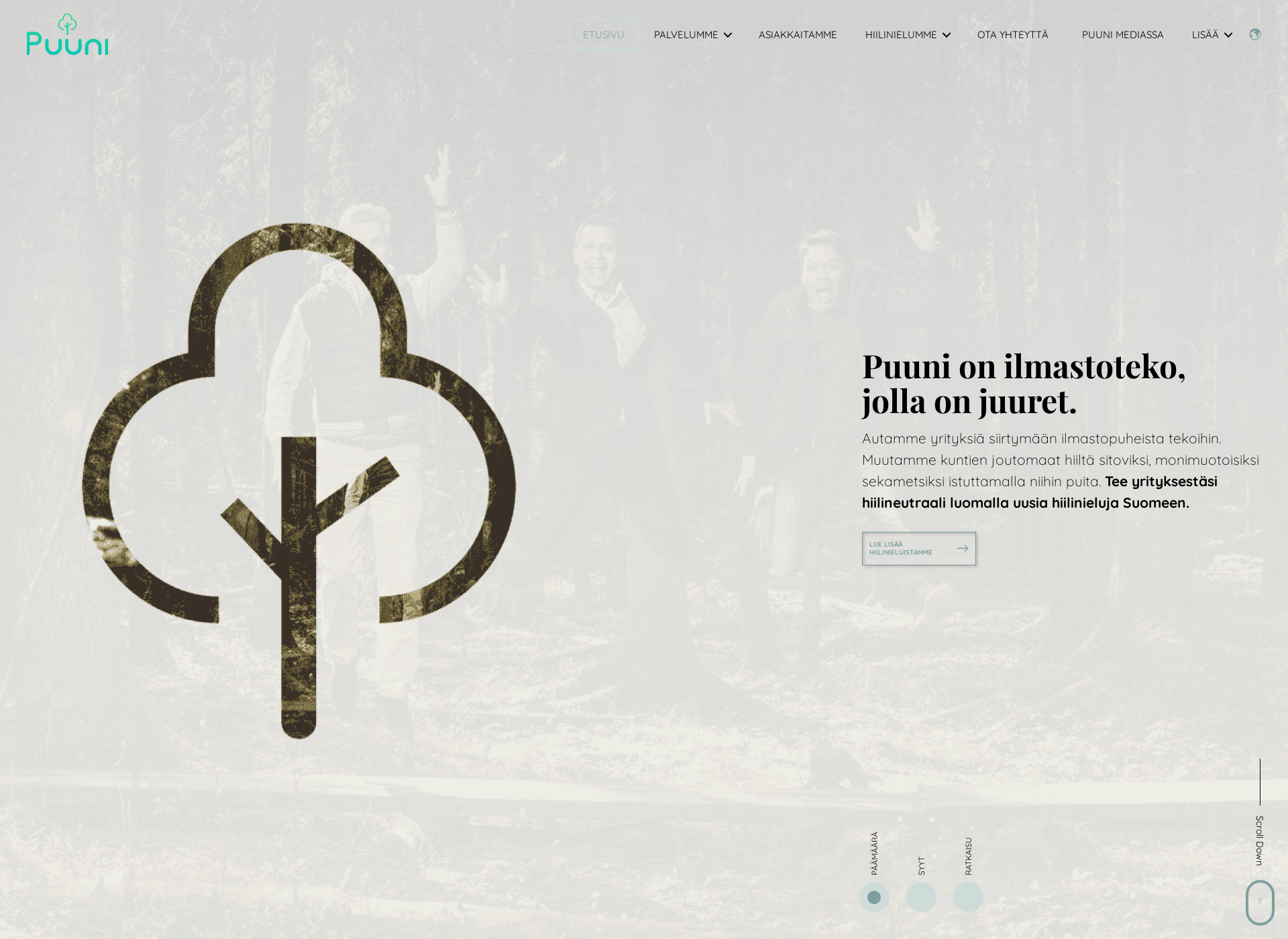 Screenshot for puuni.fi