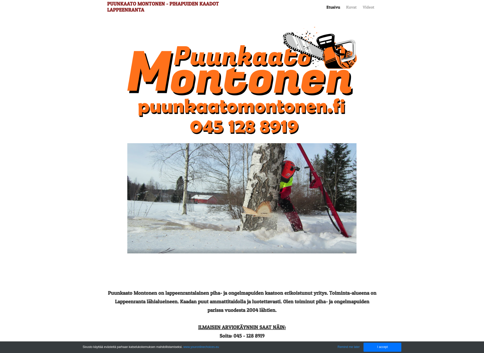 Screenshot for puunkaatomontonen.fi