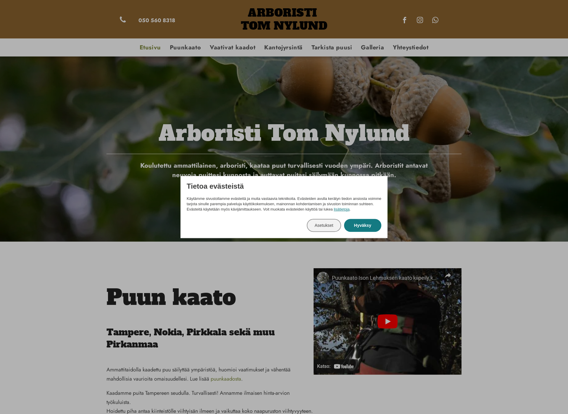 Skärmdump för puunkaatonokia.fi