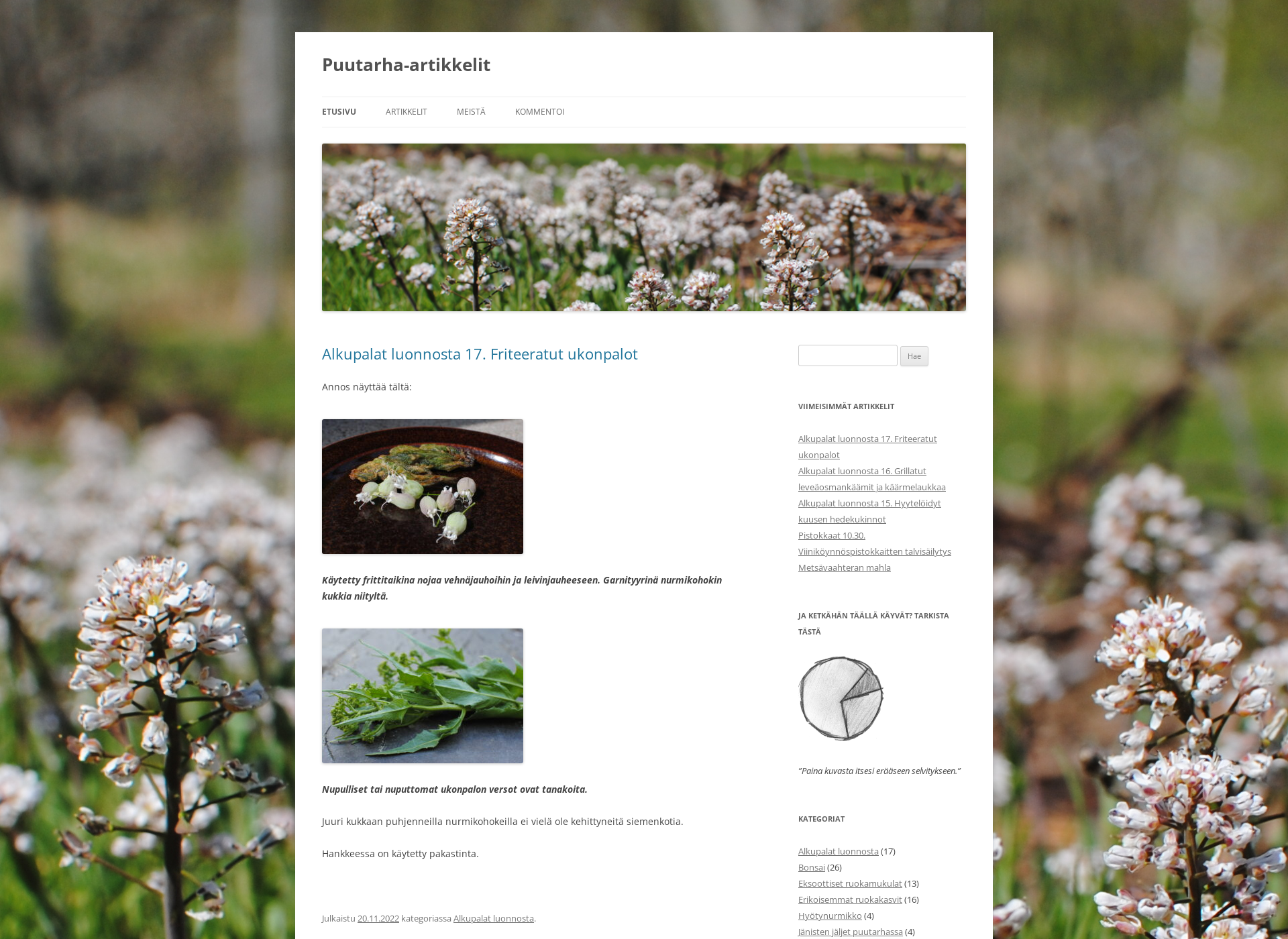 Skärmdump för puutarha-artikkelit.fi