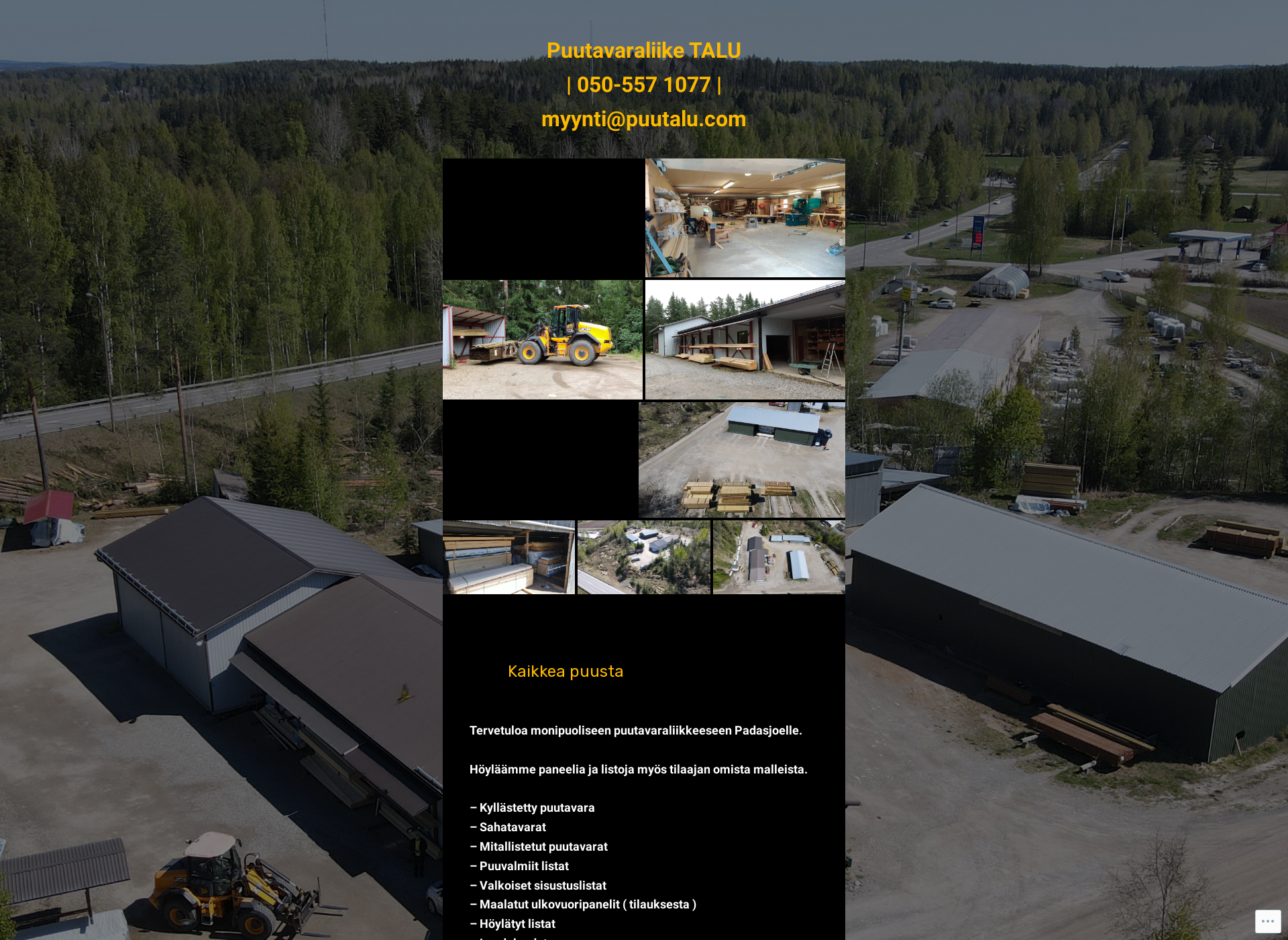 Skärmdump för puutavaraliiketalu.com