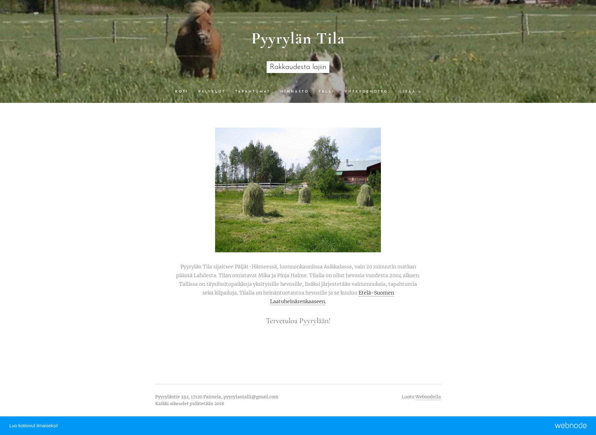 Skärmdump för pyyryla.fi