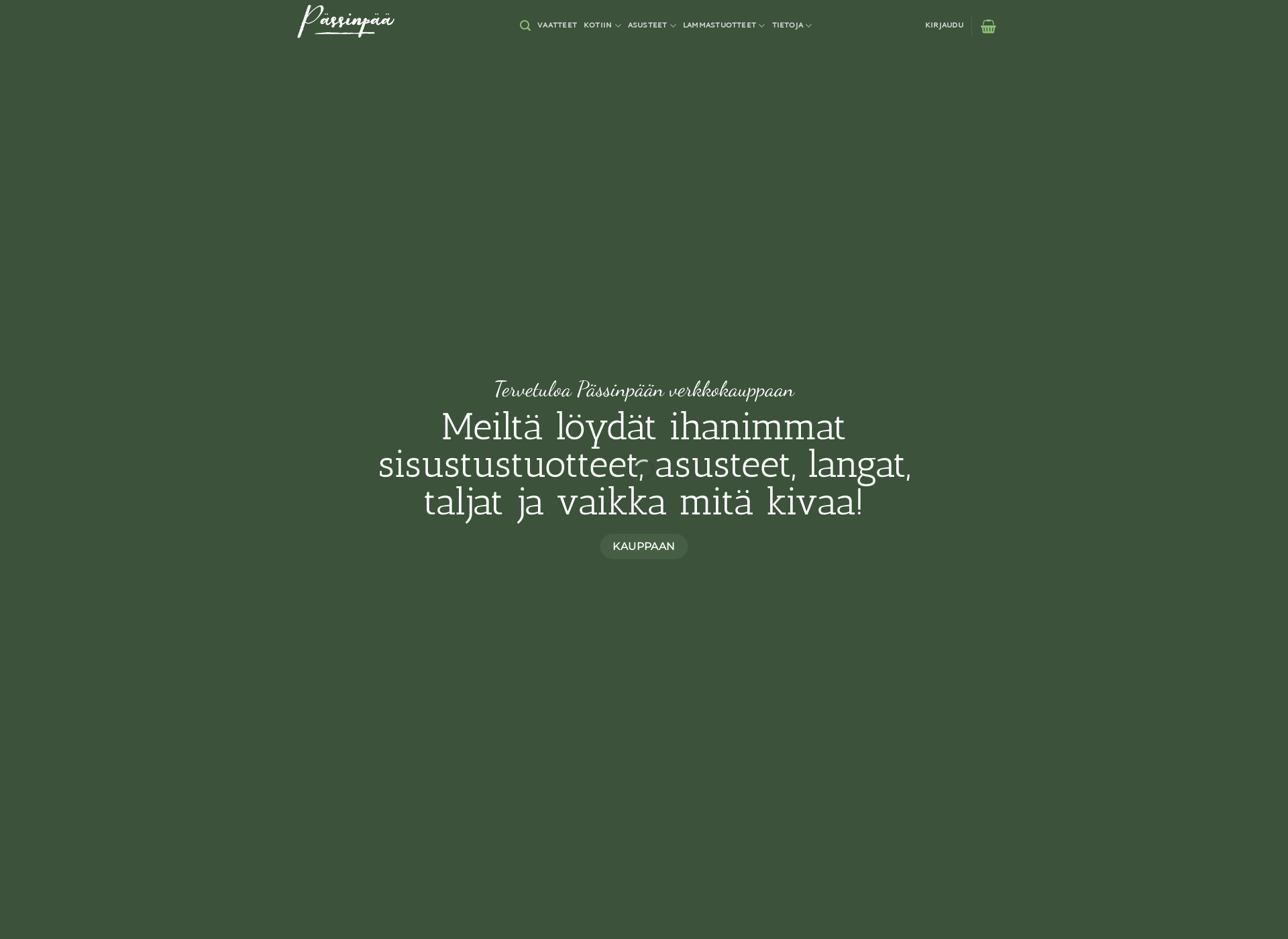 Skärmdump för pässinpää.fi