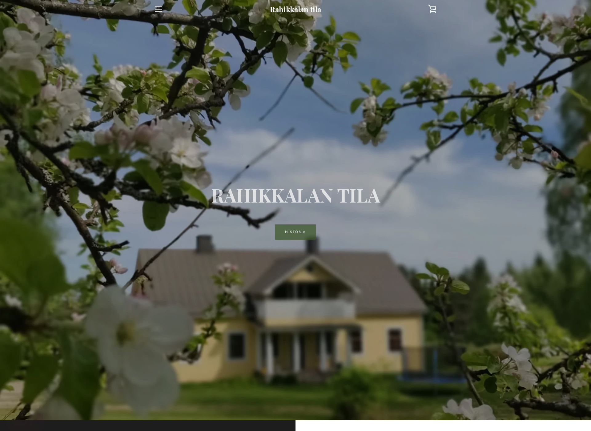 Screenshot for rahikkalantila.com