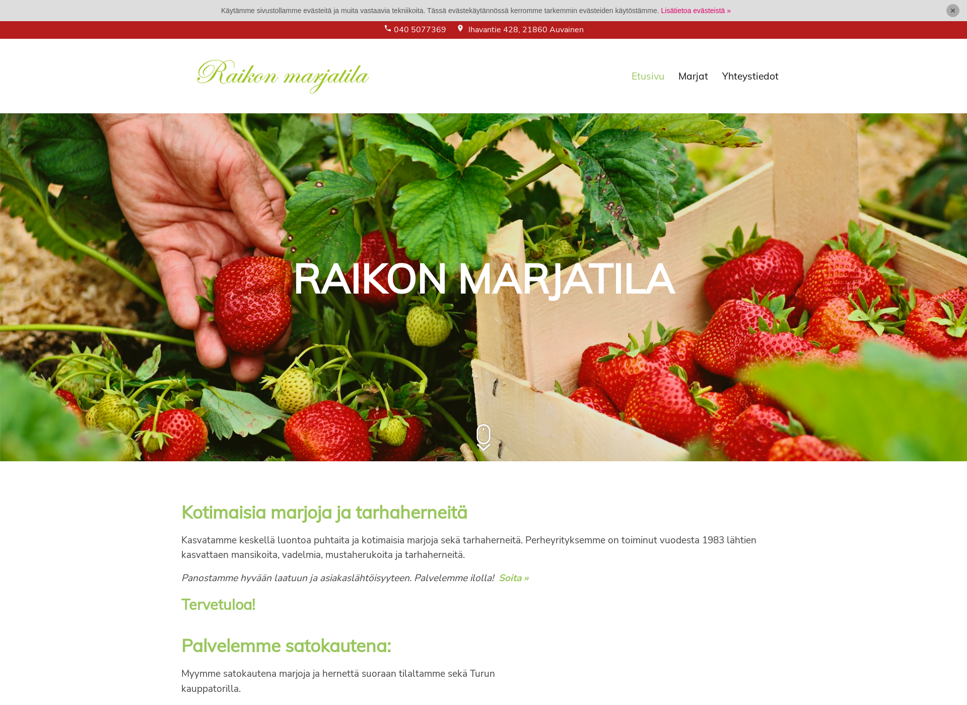 Screenshot for raikonmarjatila.fi
