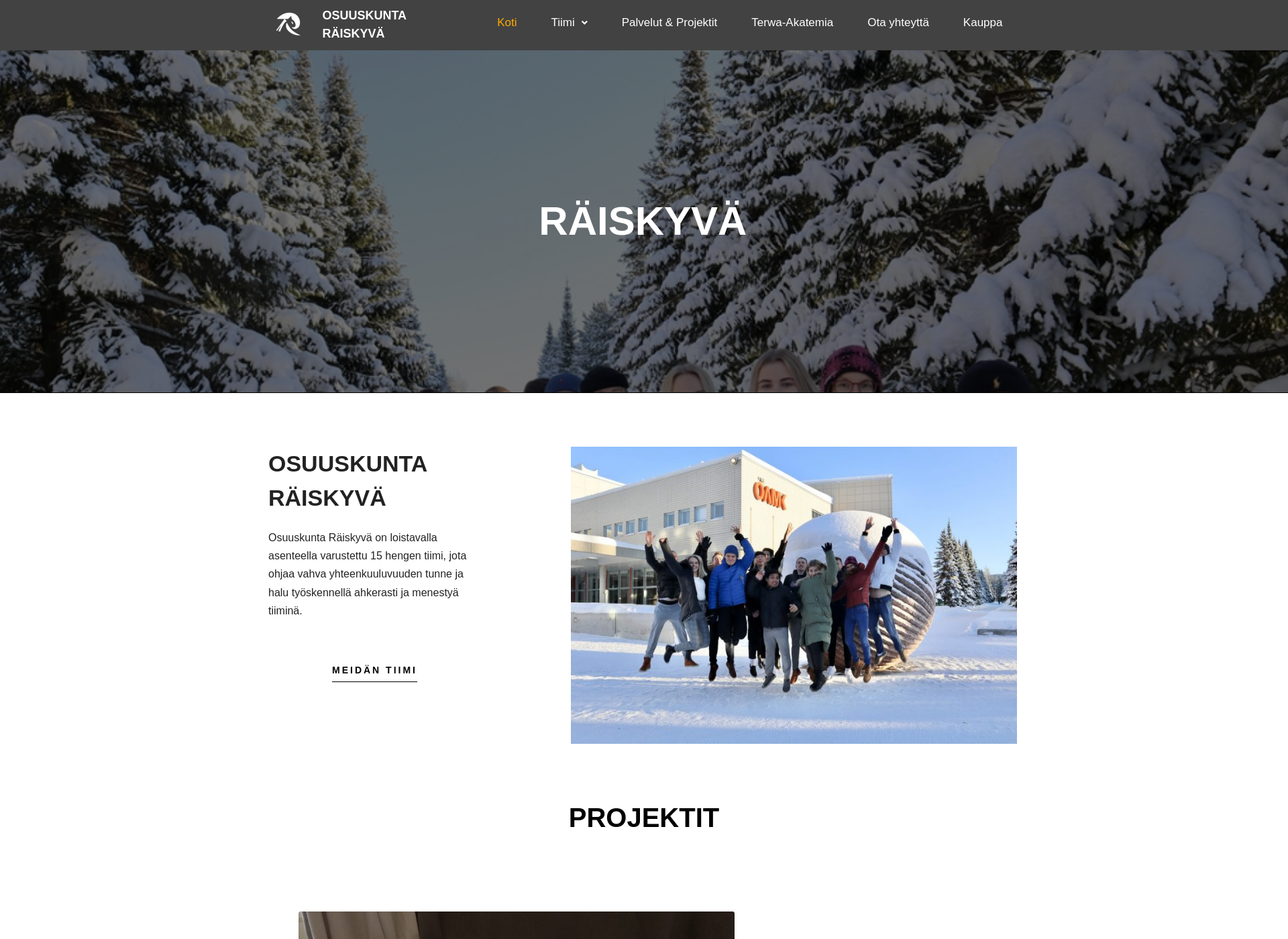 Screenshot for raiskyva.fi
