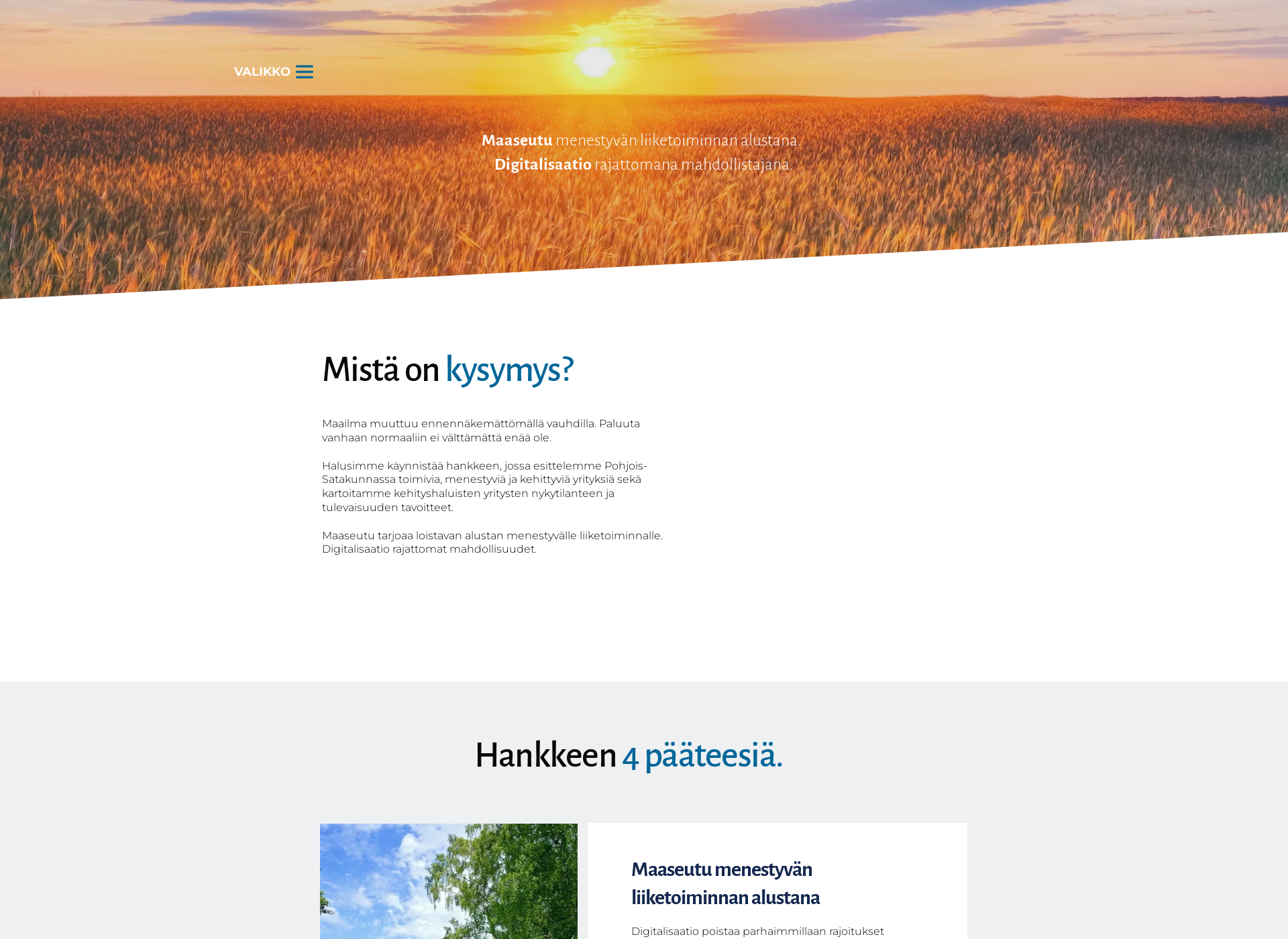 Screenshot for rajatonmahdollisuus.fi