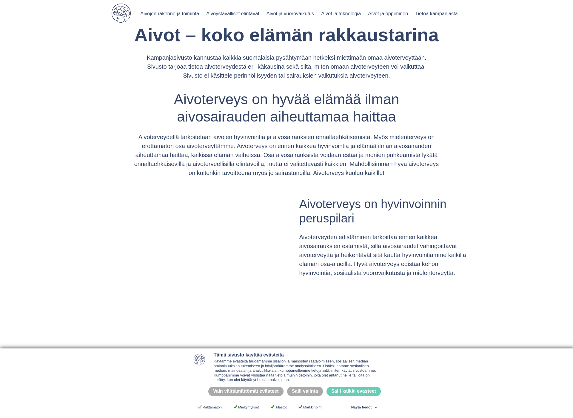 Skärmdump för rakkaataivot.fi