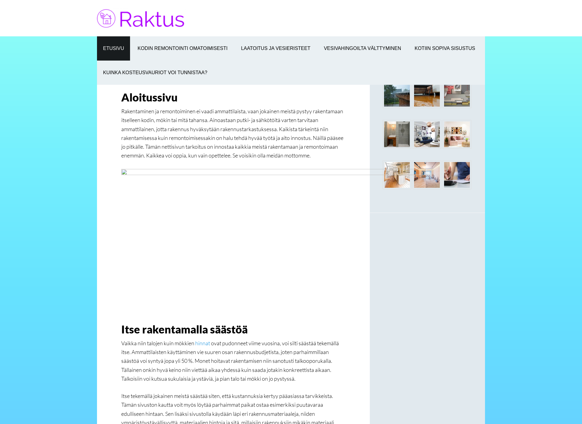 Skärmdump för raktus.fi