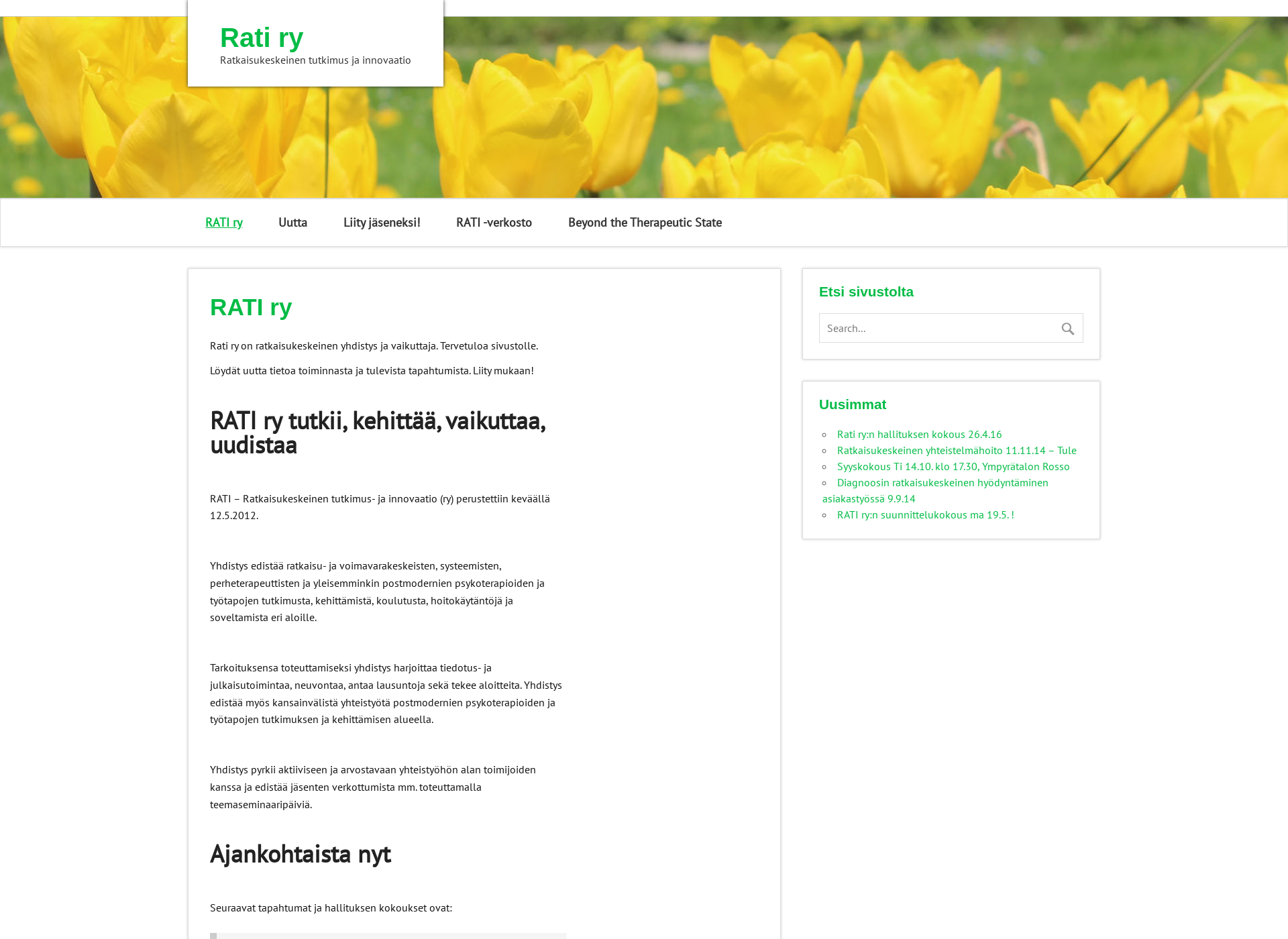 Screenshot for rati.fi