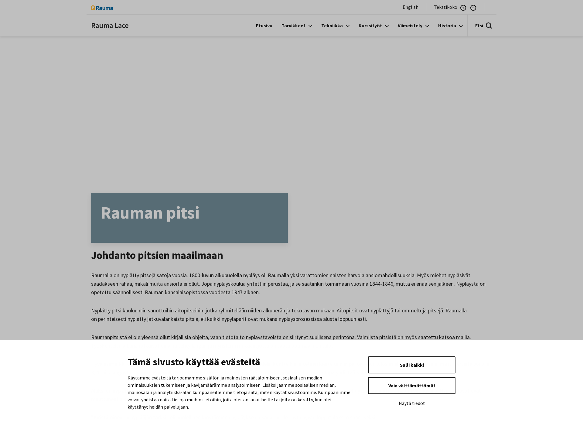Screenshot for raumalace.fi