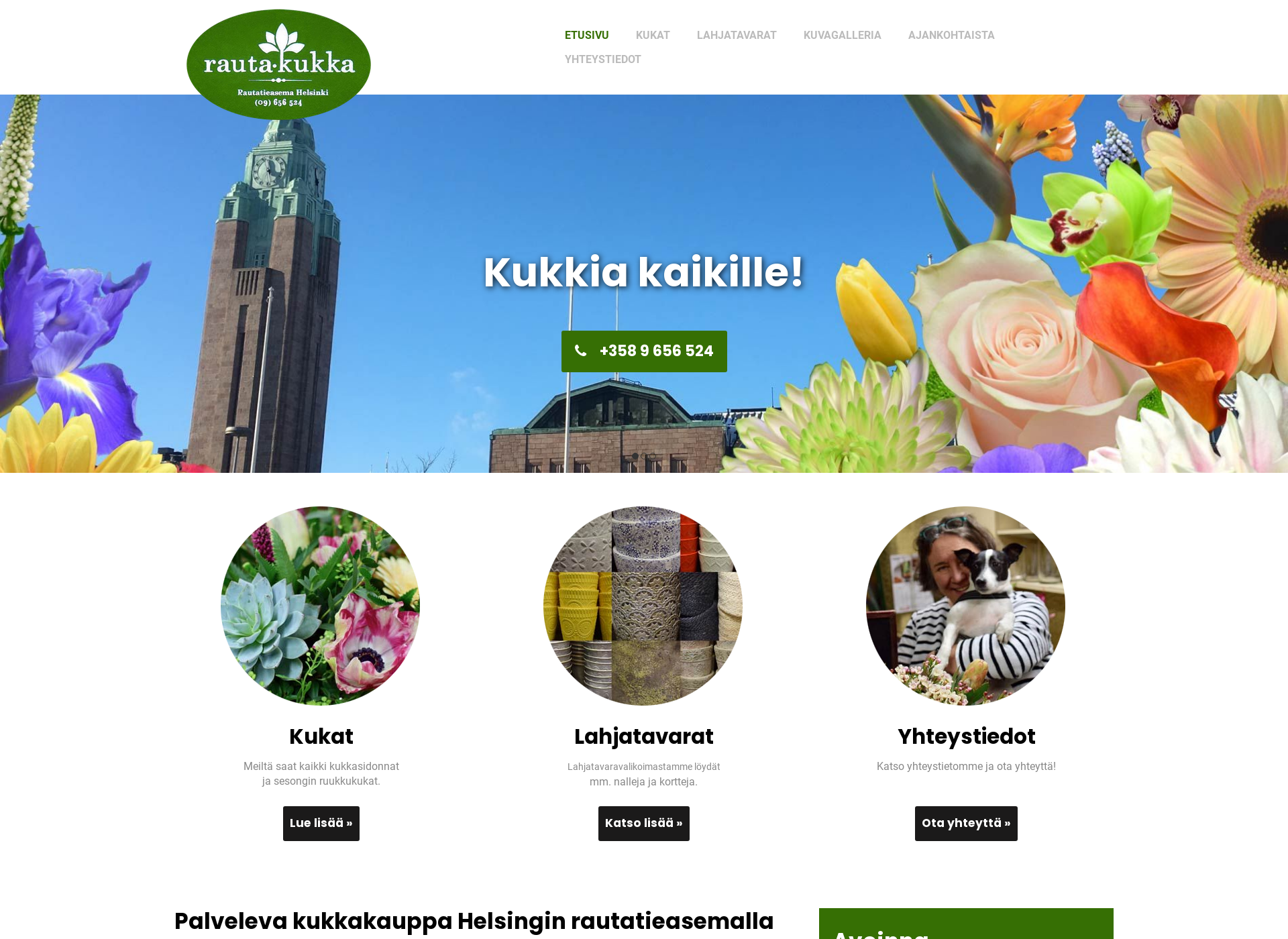 Screenshot for rauta-kukka.fi