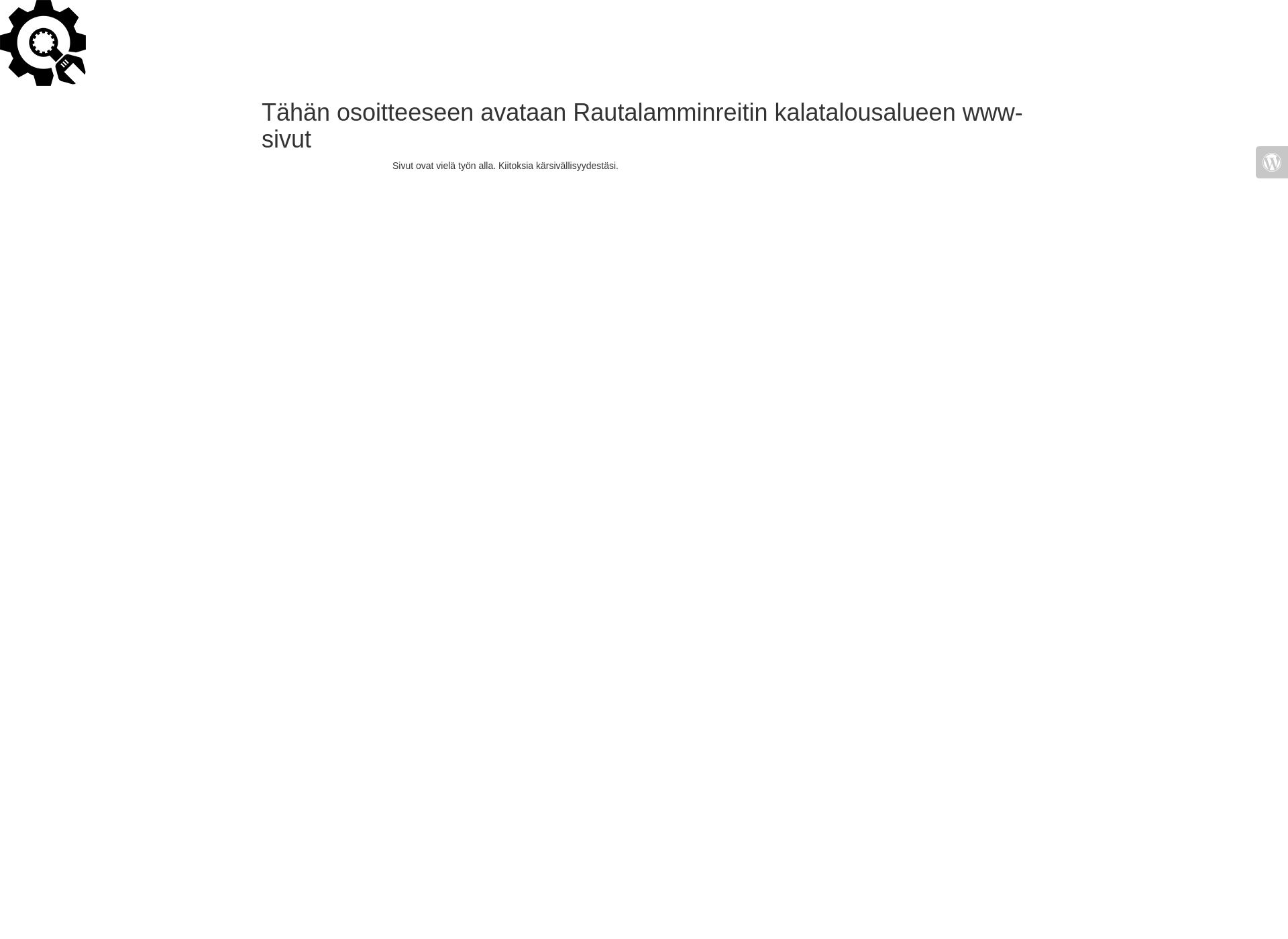 Skärmdump för rautalamminreitinkta.fi