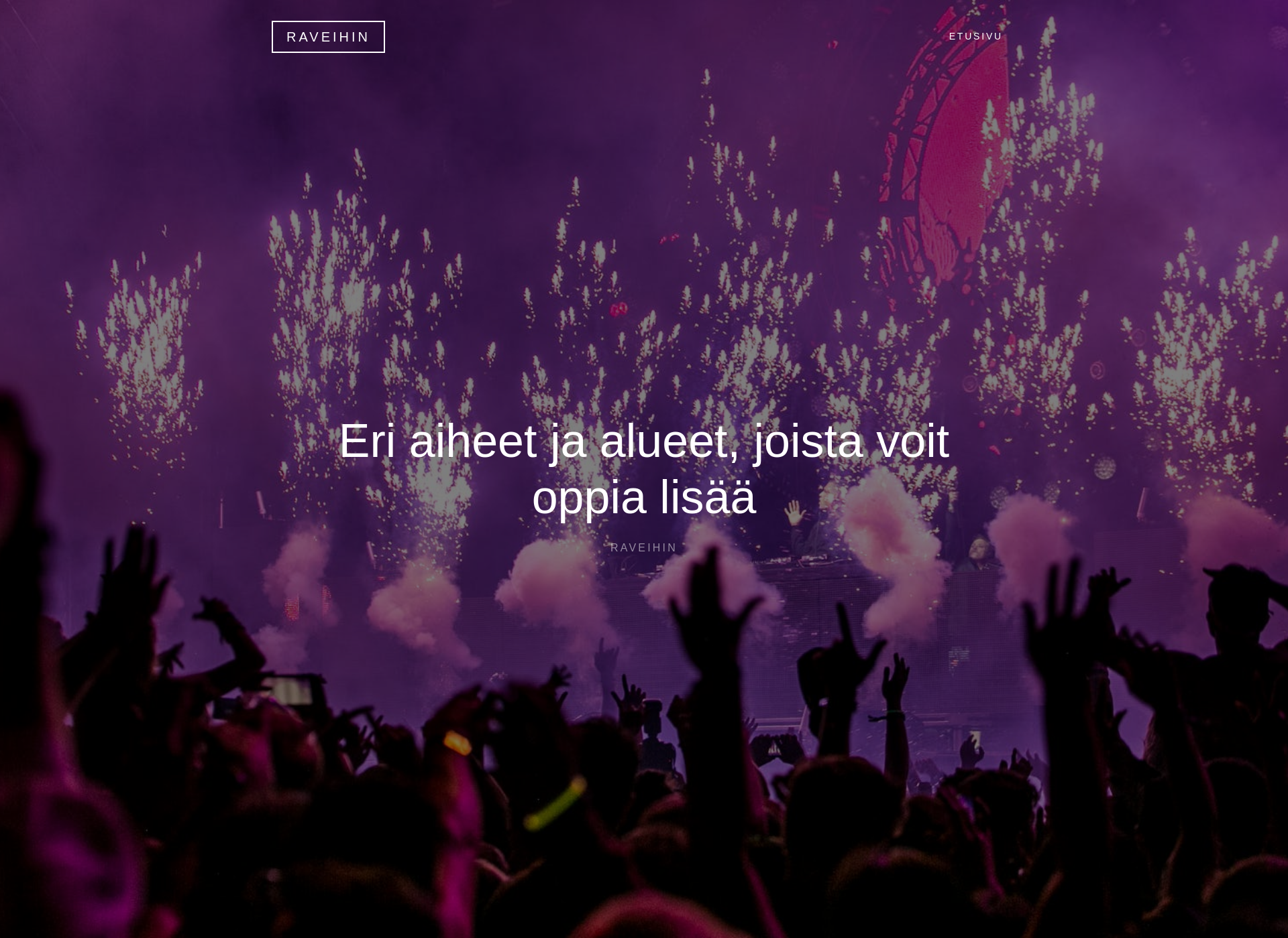 Screenshot for raveihin.fi
