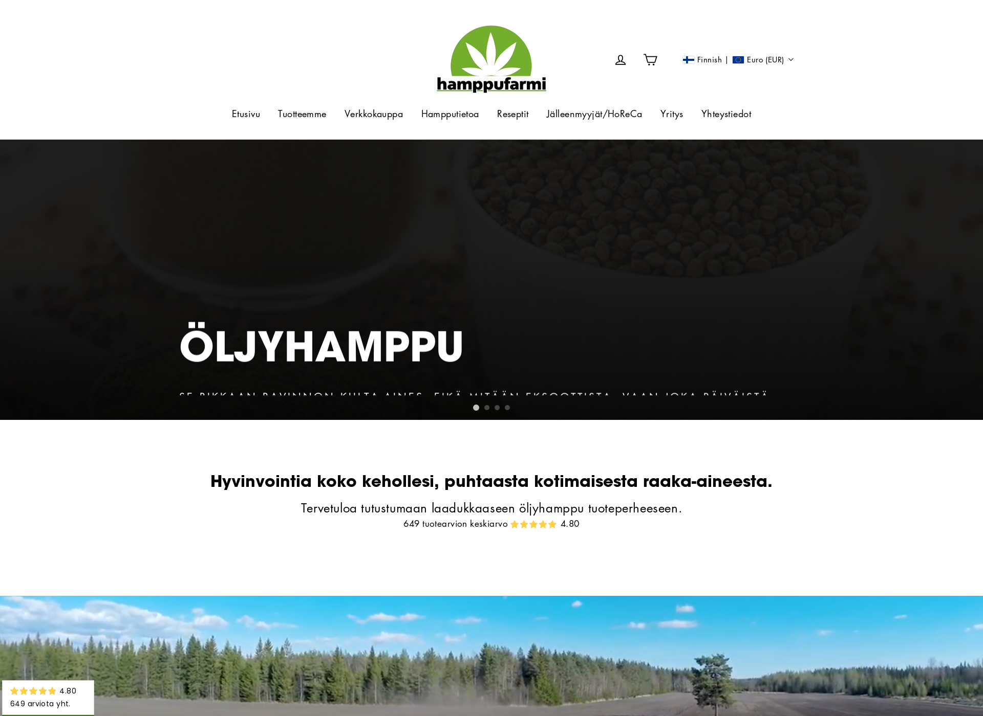 Screenshot for ravintohamppu.fi