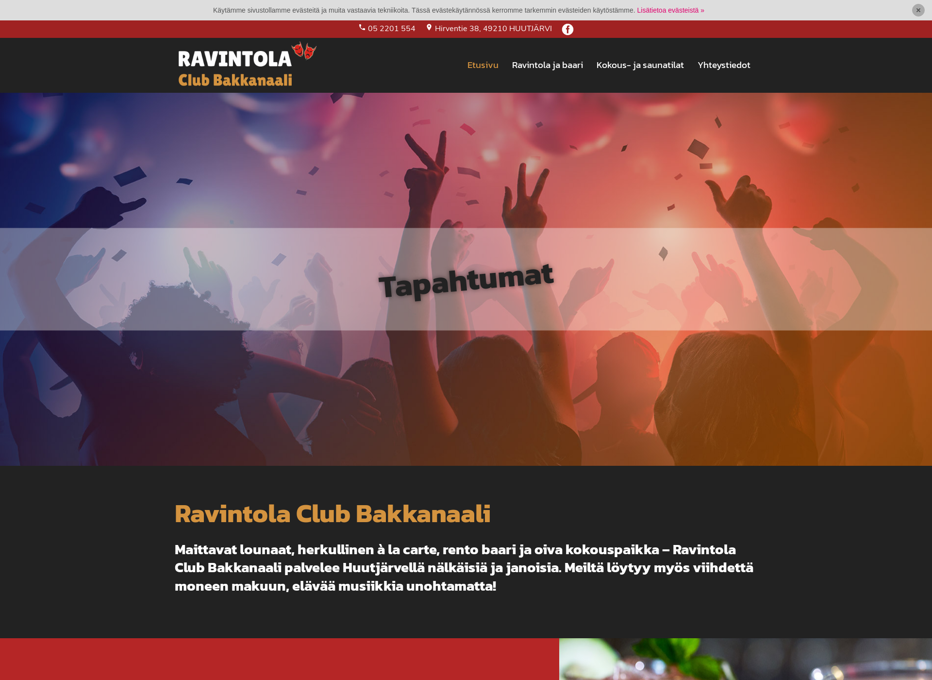 Skärmdump för ravintola-bakkanaali.fi