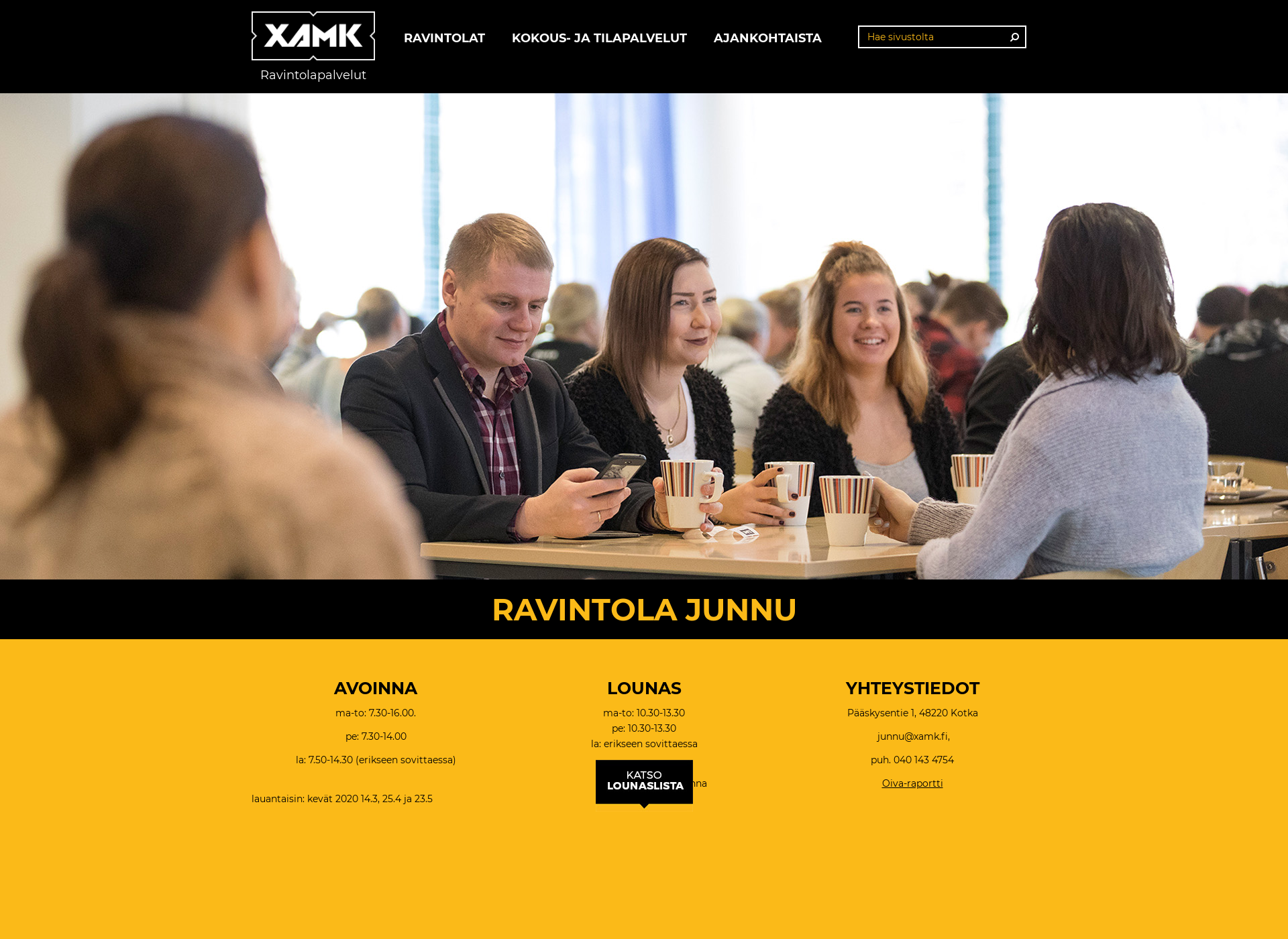 Screenshot for ravintolajunnu.fi