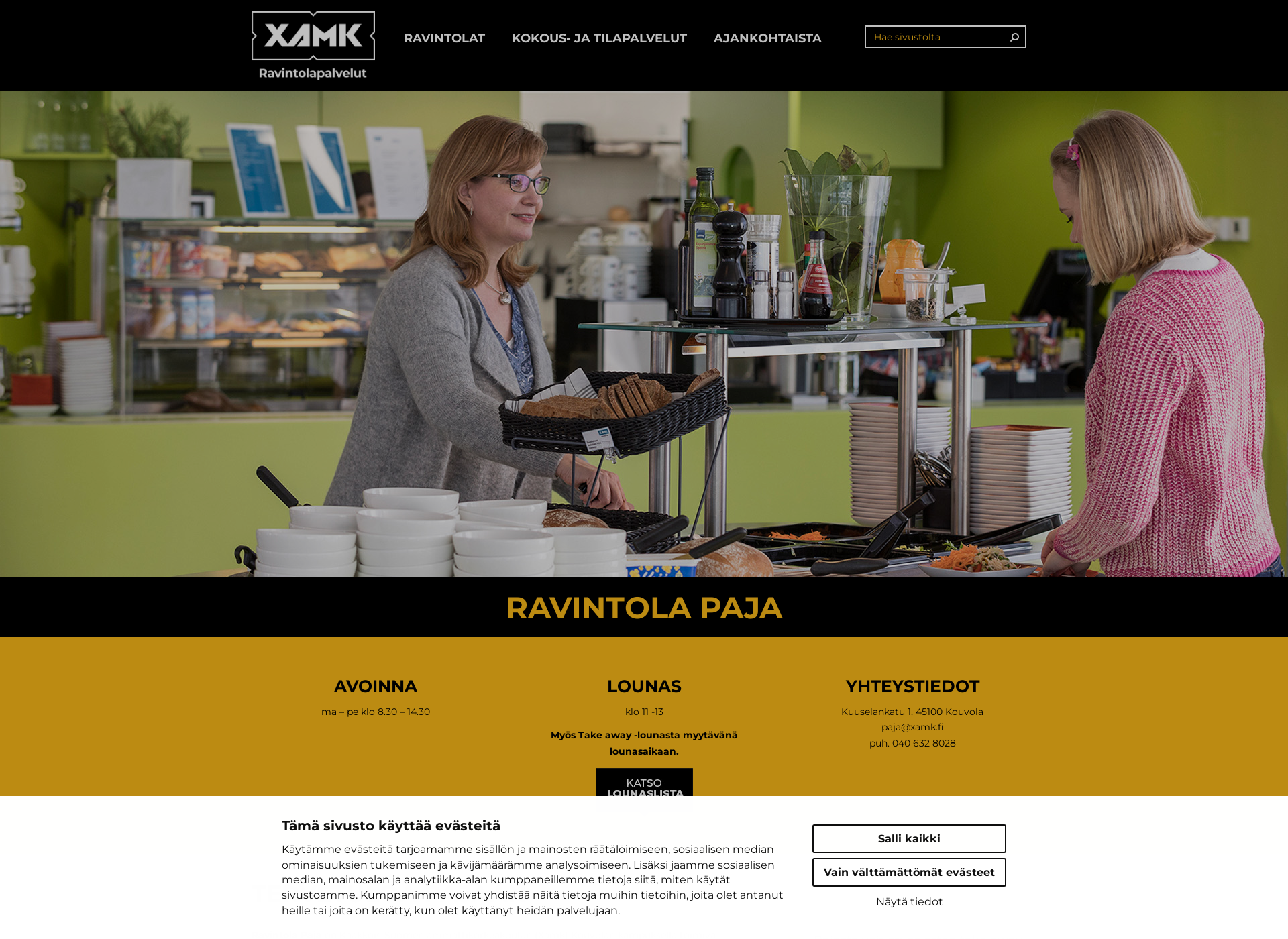 Screenshot for ravintolapaja.fi