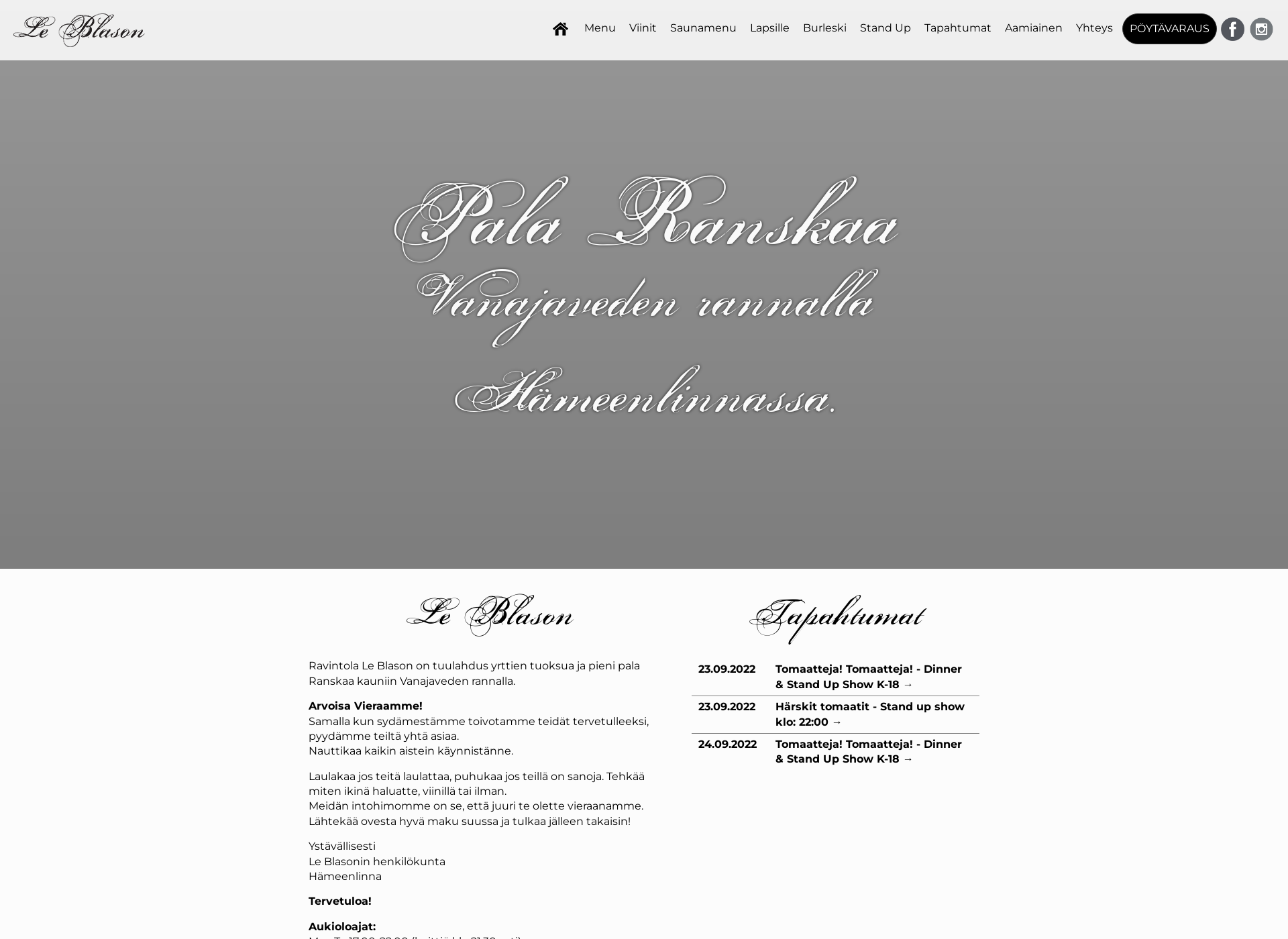 Screenshot for ravintolavaakuna.fi